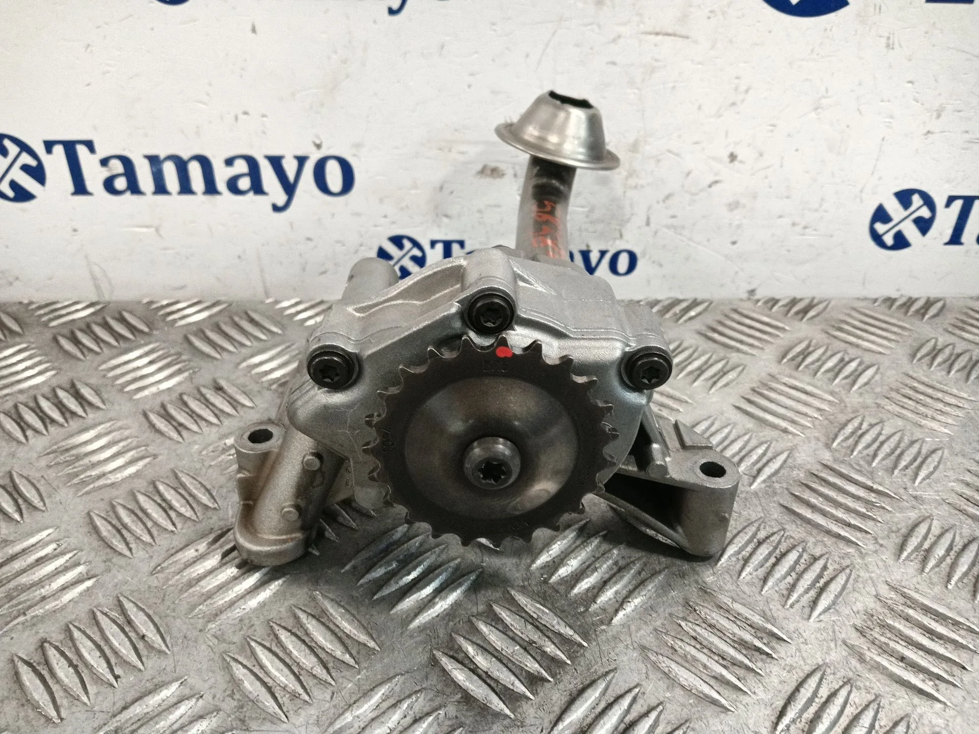 Bomba Aceite para Audi A3 (8P)