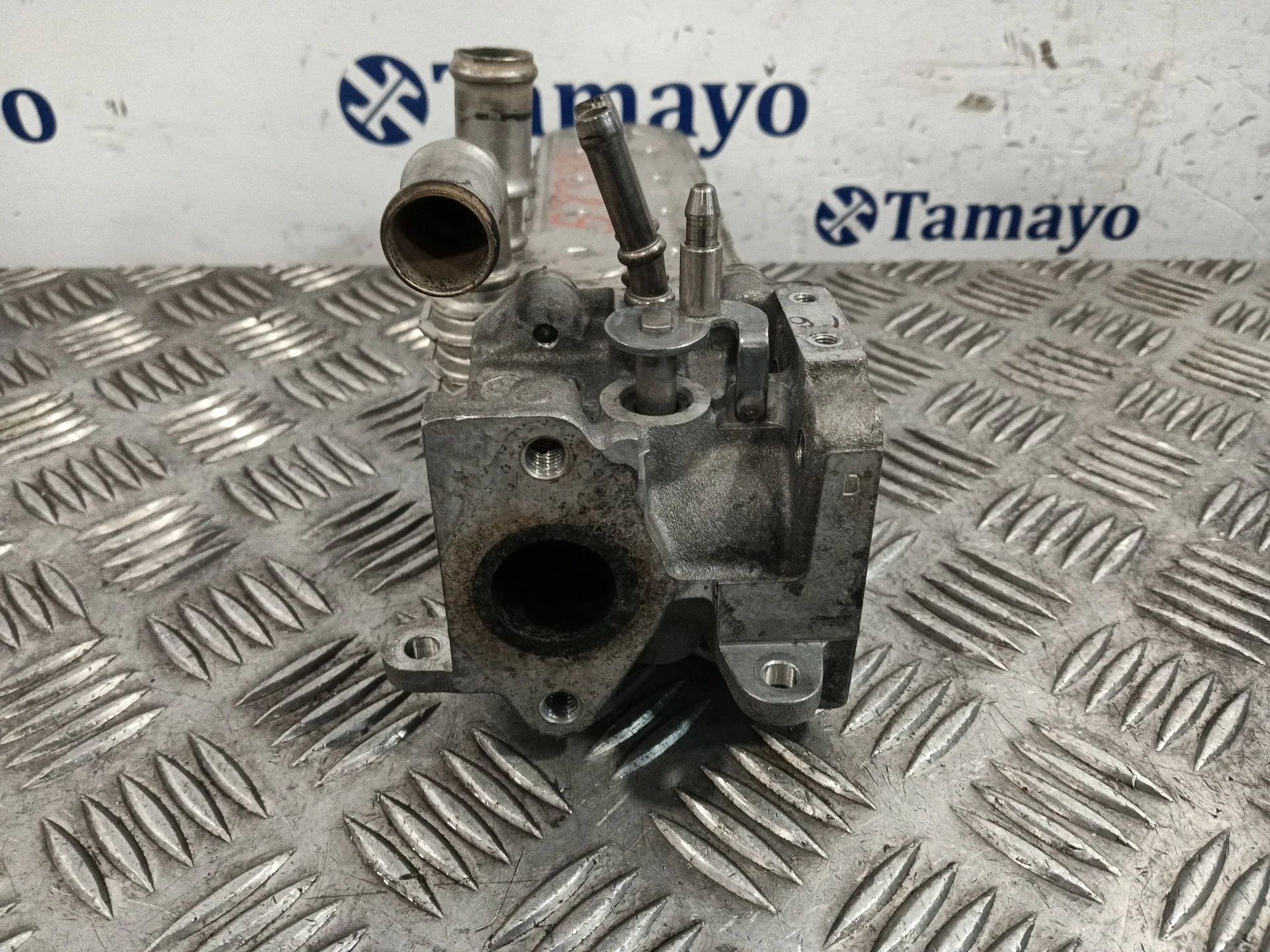Enfriador Egr para Audi A3 (8P)