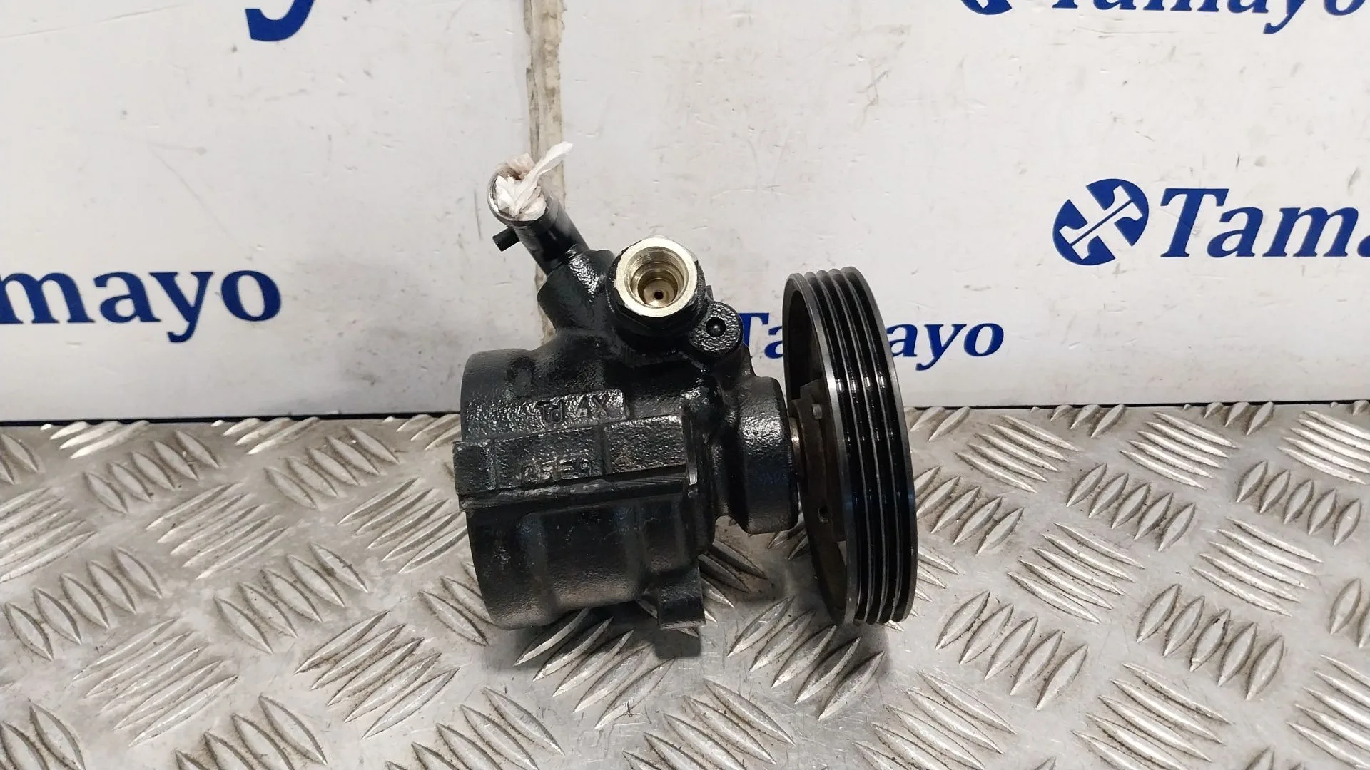Bomba Direccion para Dacia Sandero (Bs_)
