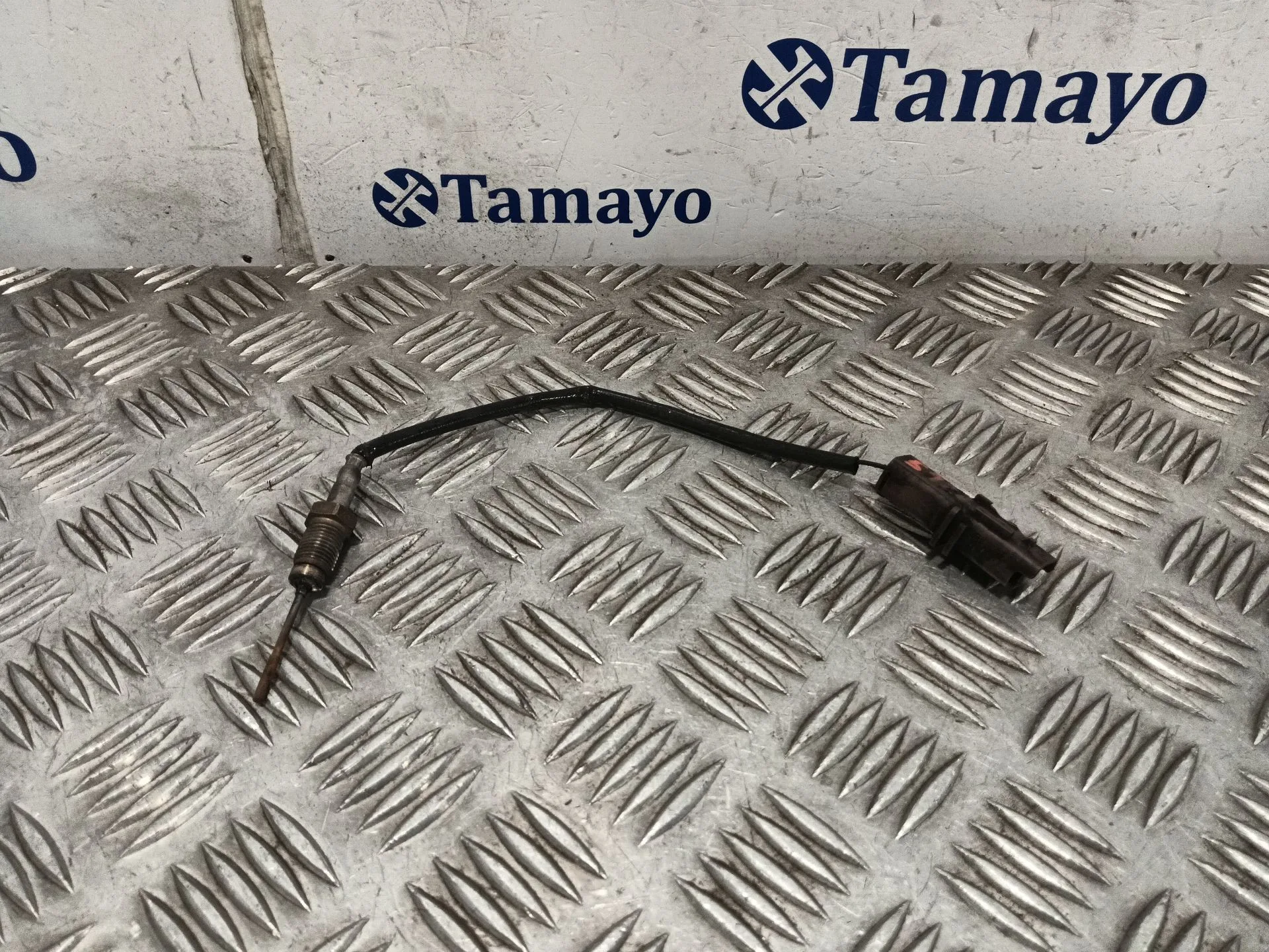 Sonda Lambda para Peugeot 307 (3A/C)