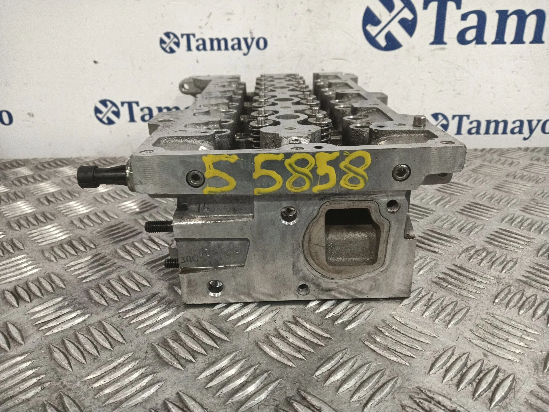 Culata para Fiat Panda / Panda Classic (169_)