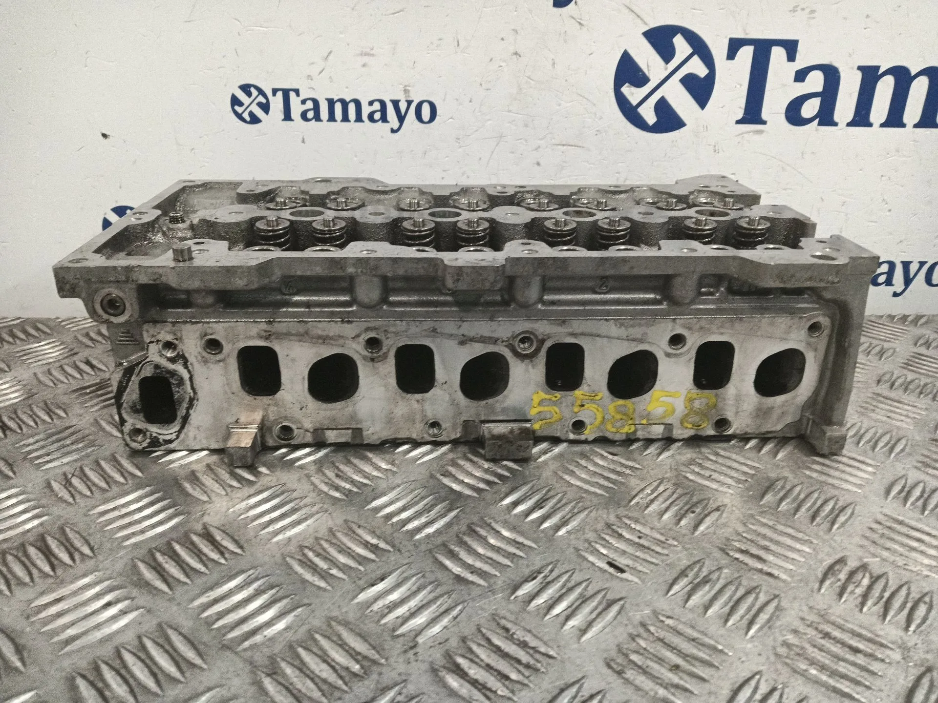 Culata para Fiat Panda / Panda Classic (169_)
