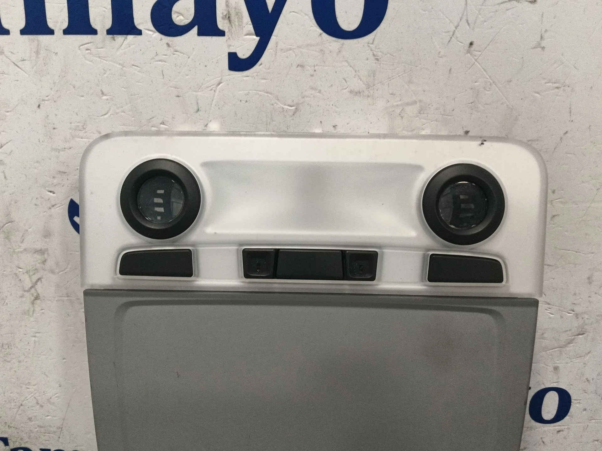 Luz Interior Delantera Central para Bmw Serie 1 Berlina (E81/E87)