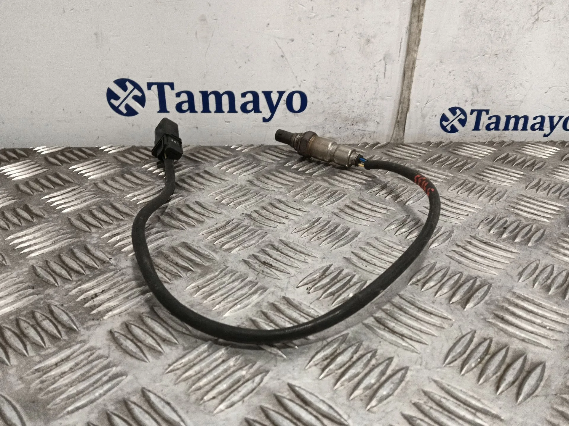 Sonda Lambda para Seat Leon (1P1)