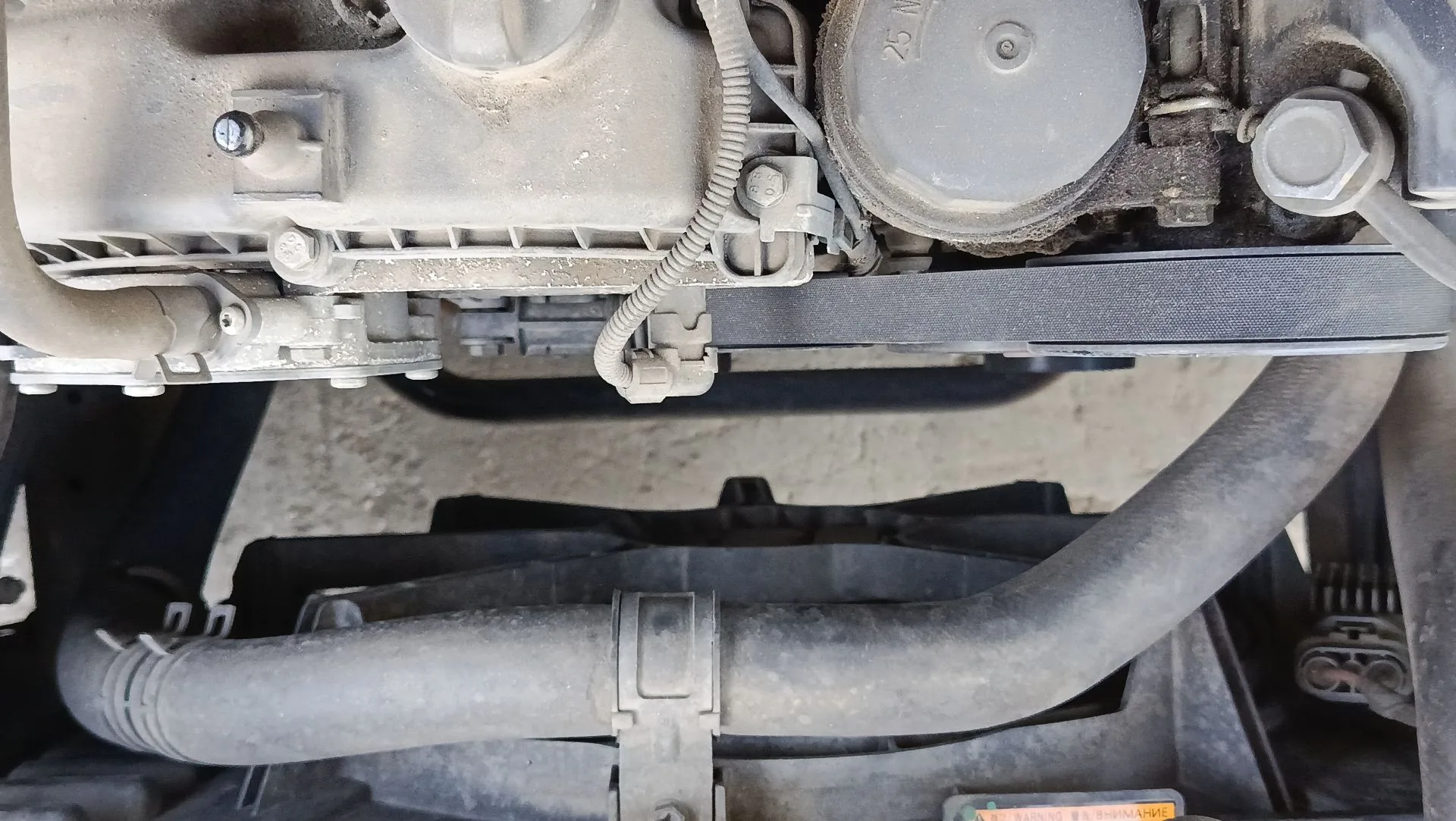 Radiador Agua para Ssangyong Rexton W / Rexton