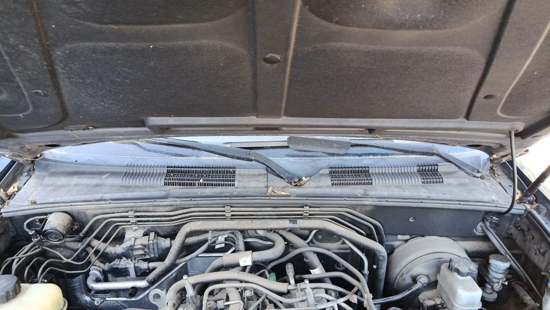Torpedo para Ssangyong Rexton W / Rexton