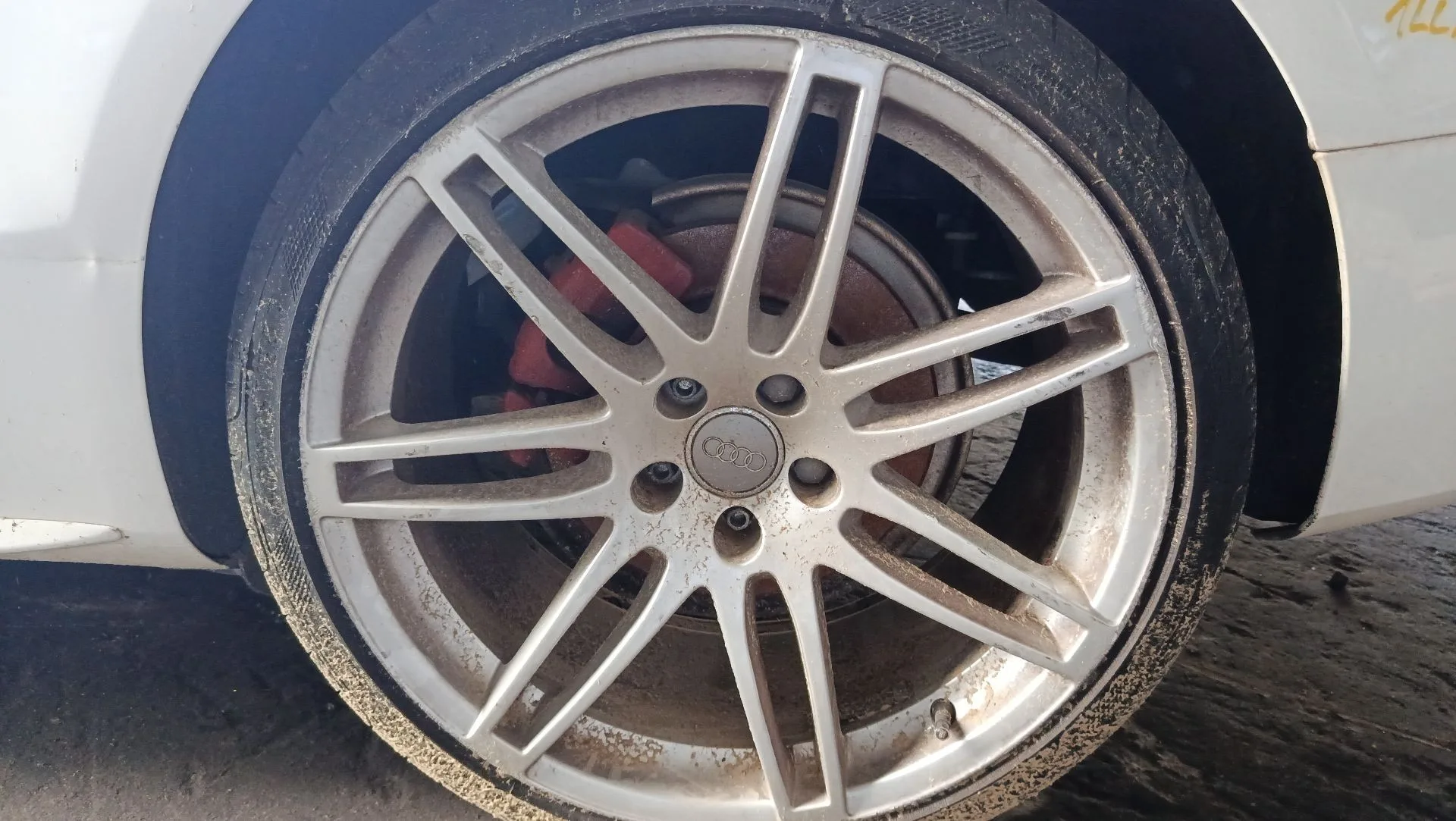 Mangueta Trasera Izquierda para Audi A5 (8T3)