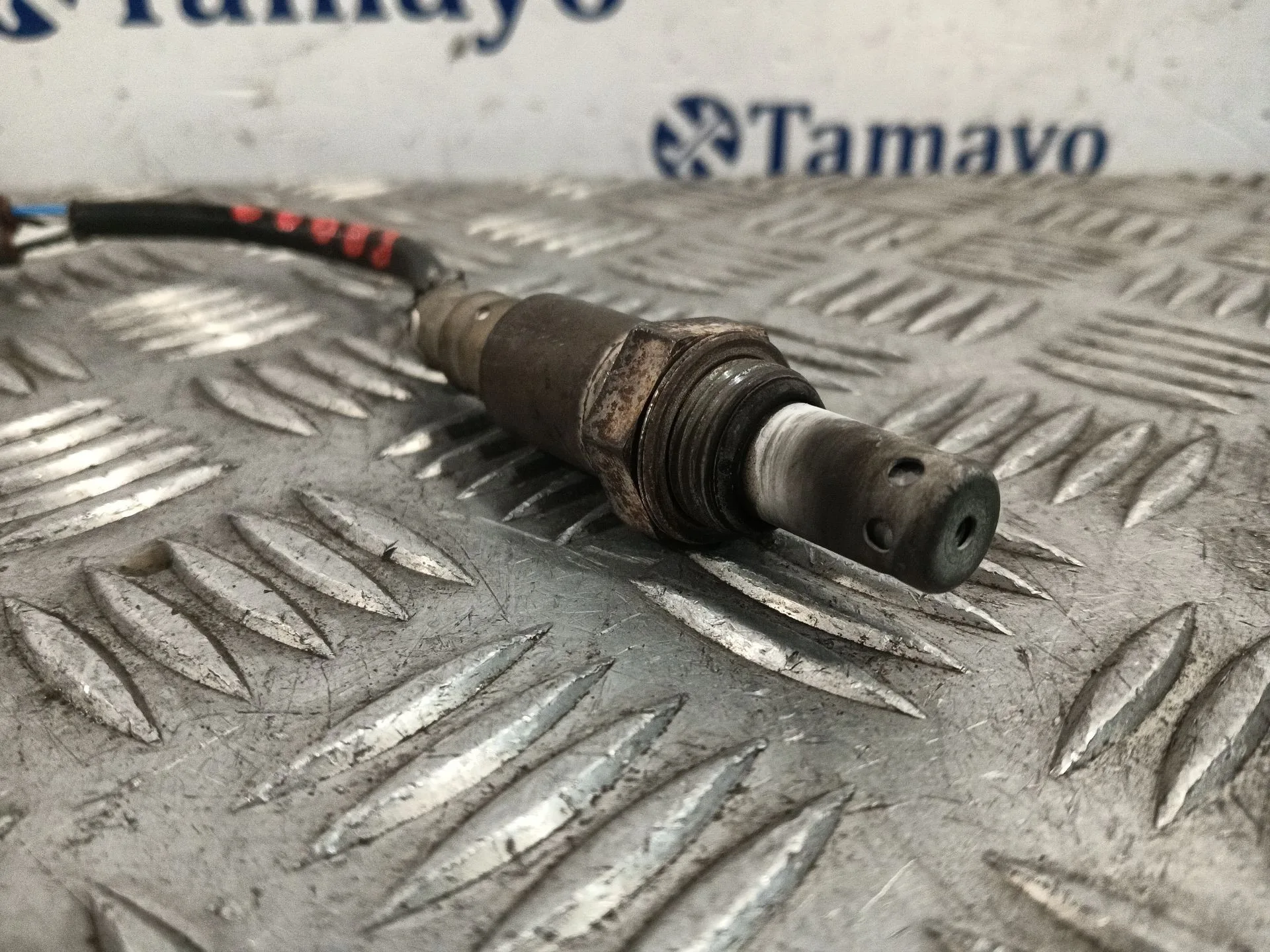 Sonda Lambda para Lexus Rx