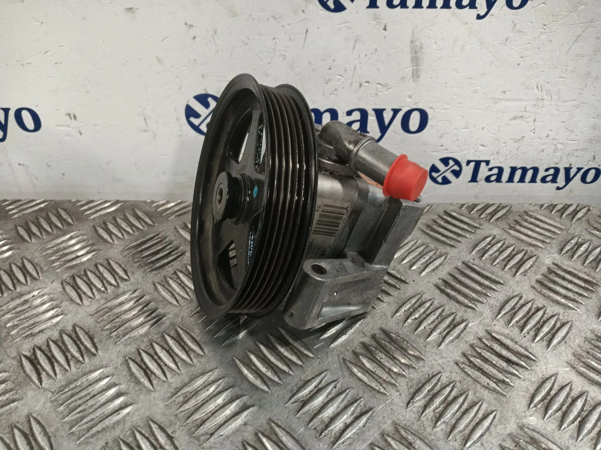 Bomba Direccion para Jaguar X-Type