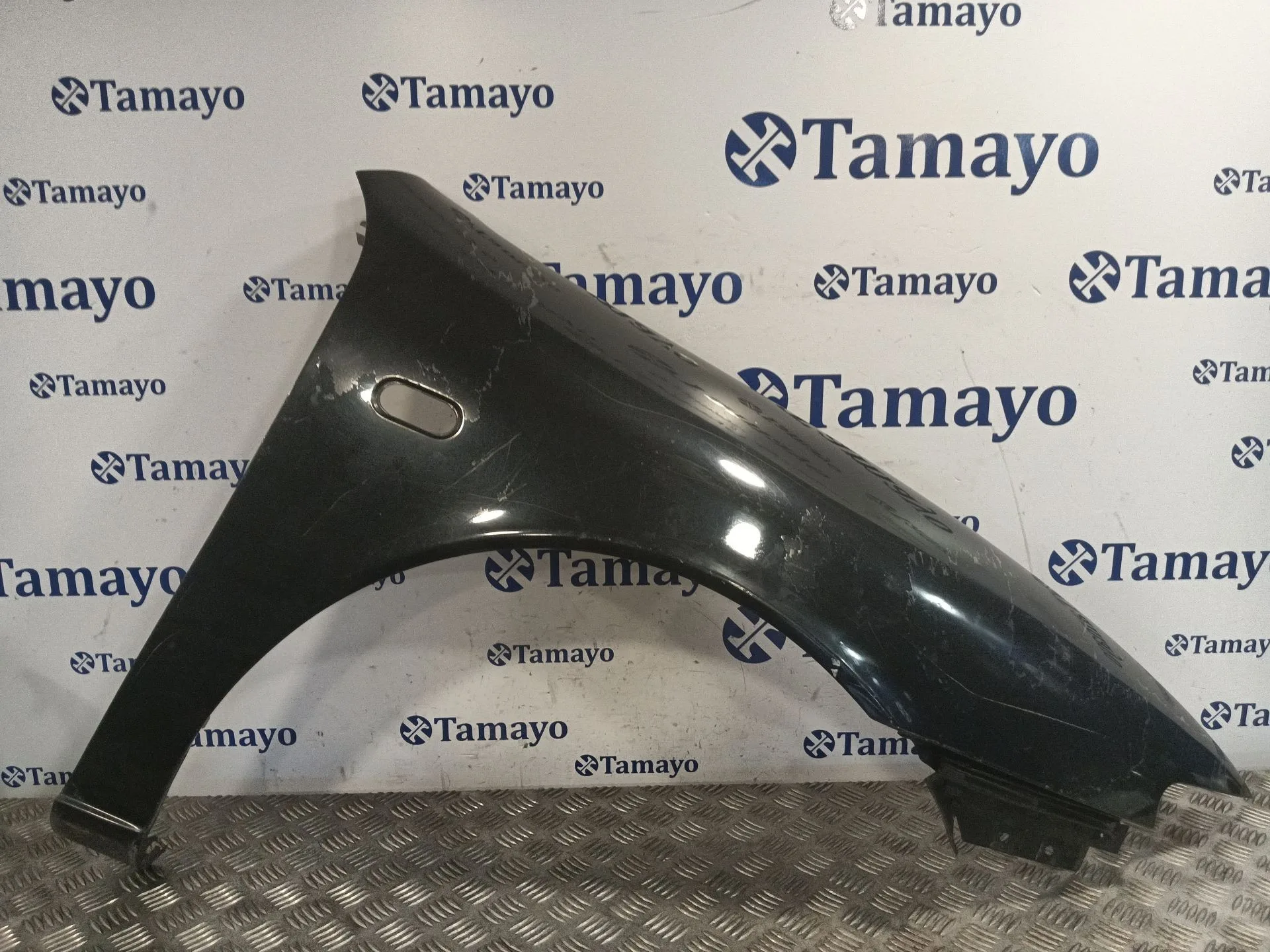 Aleta Delantera Derecha para Seat Leon (1M1)
