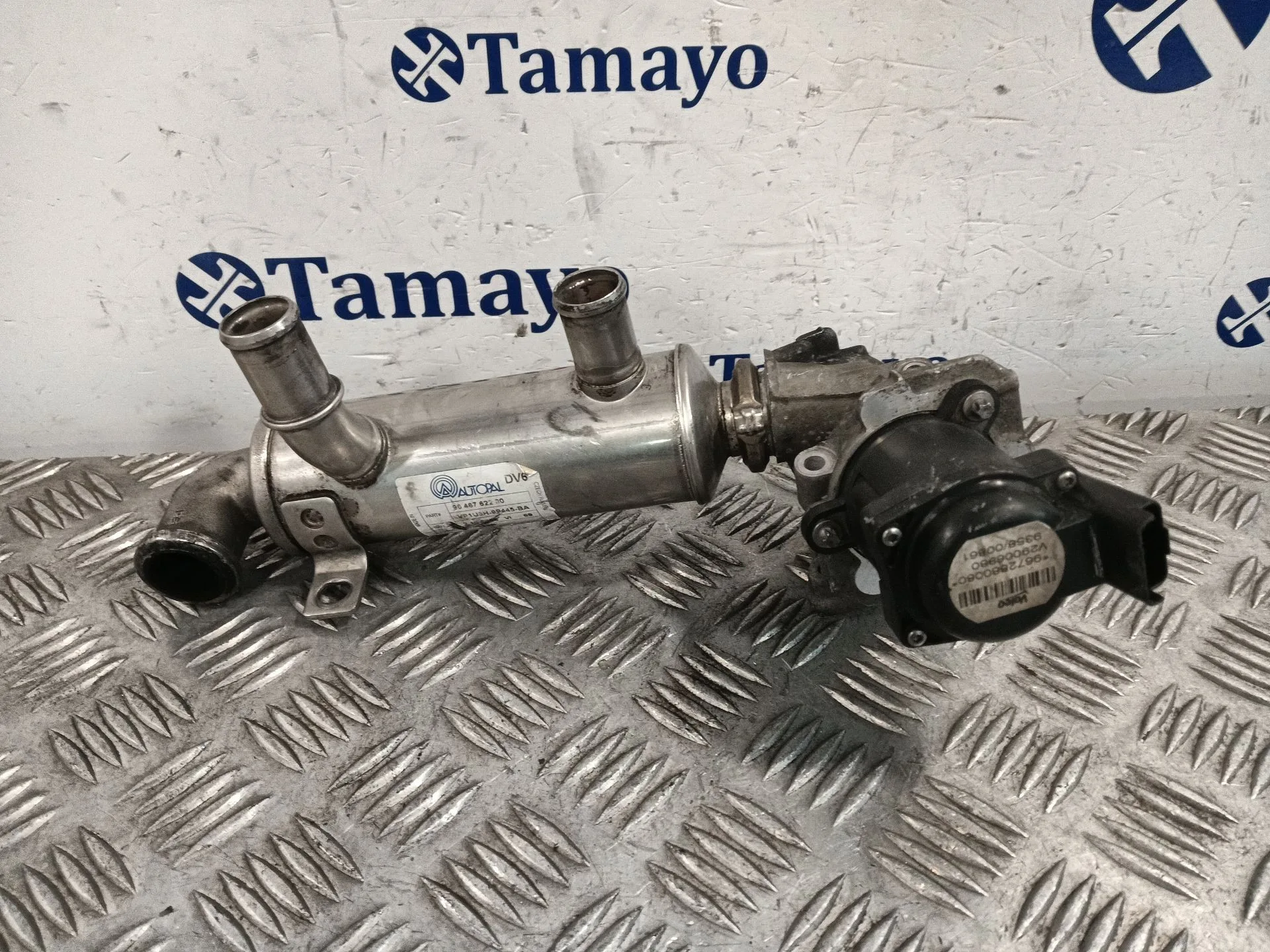 Valvula Egr para Citroën C4 Berlina