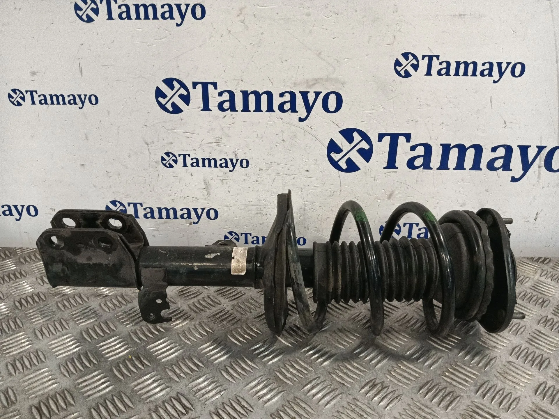 Amortiguador Delantero Derecho para Toyota Corolla Verso (R1)