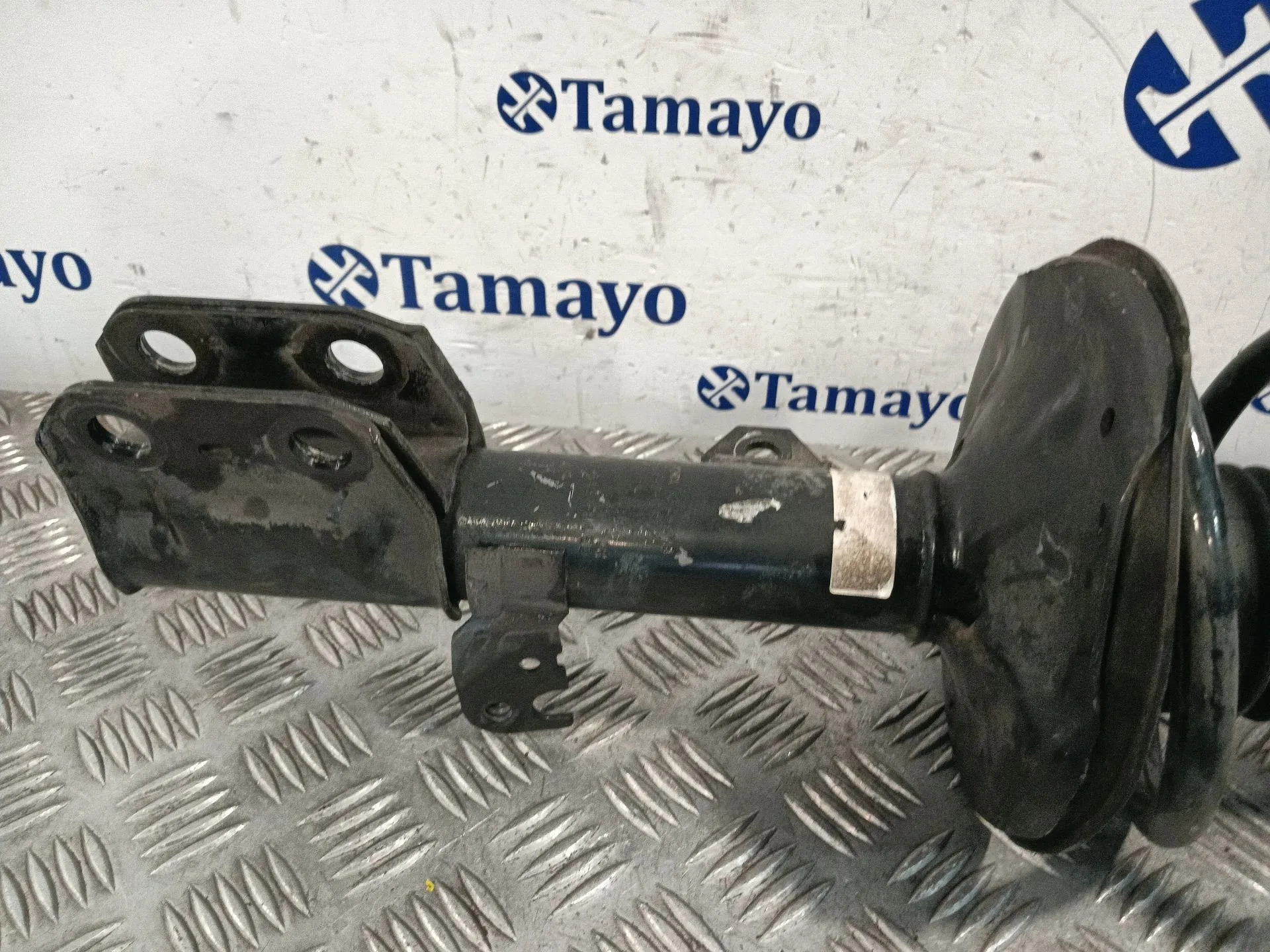 Amortiguador Delantero Derecho para Toyota Corolla Verso (R1)