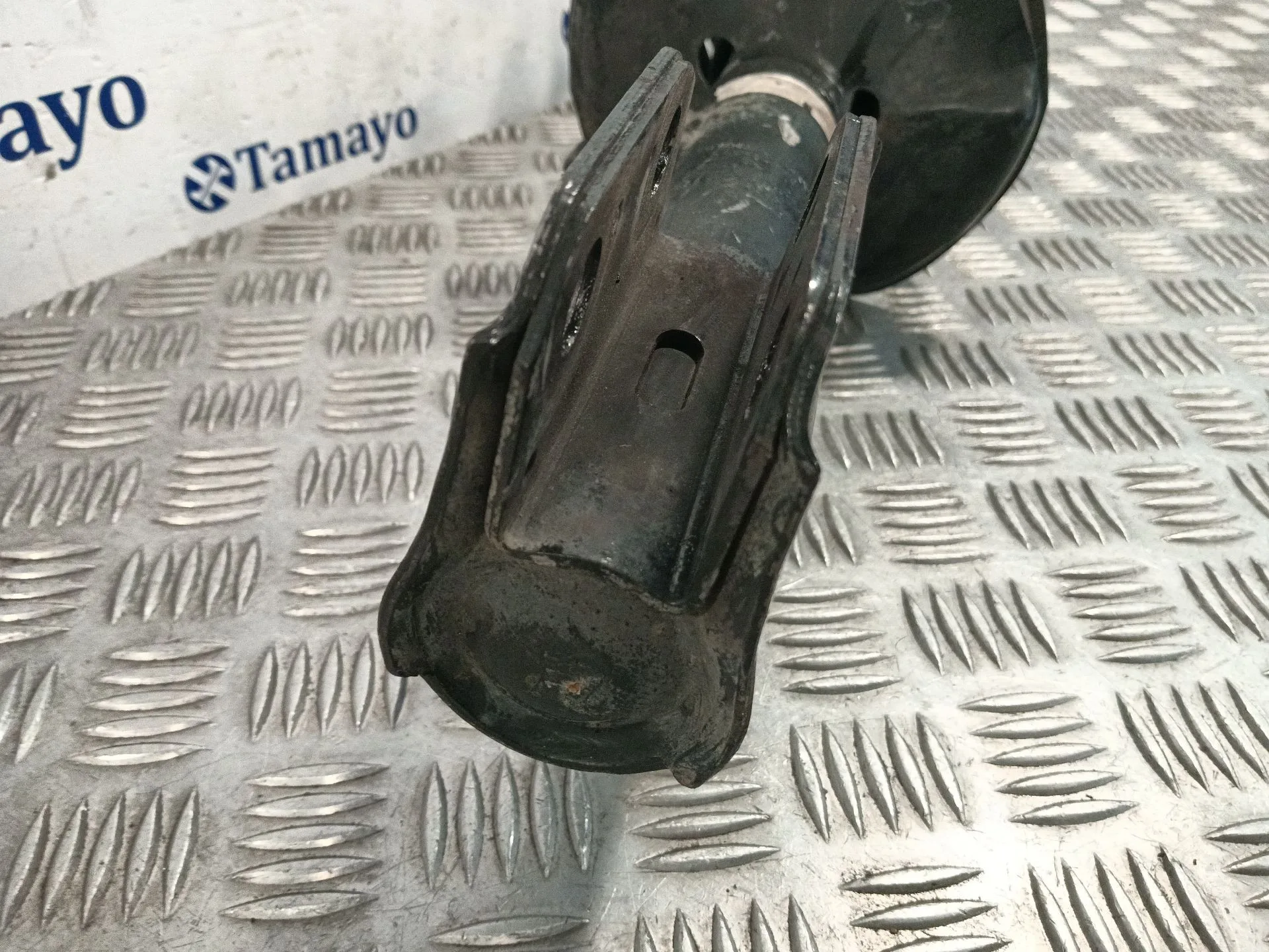 Amortiguador Delantero Derecho para Toyota Corolla Verso (R1)