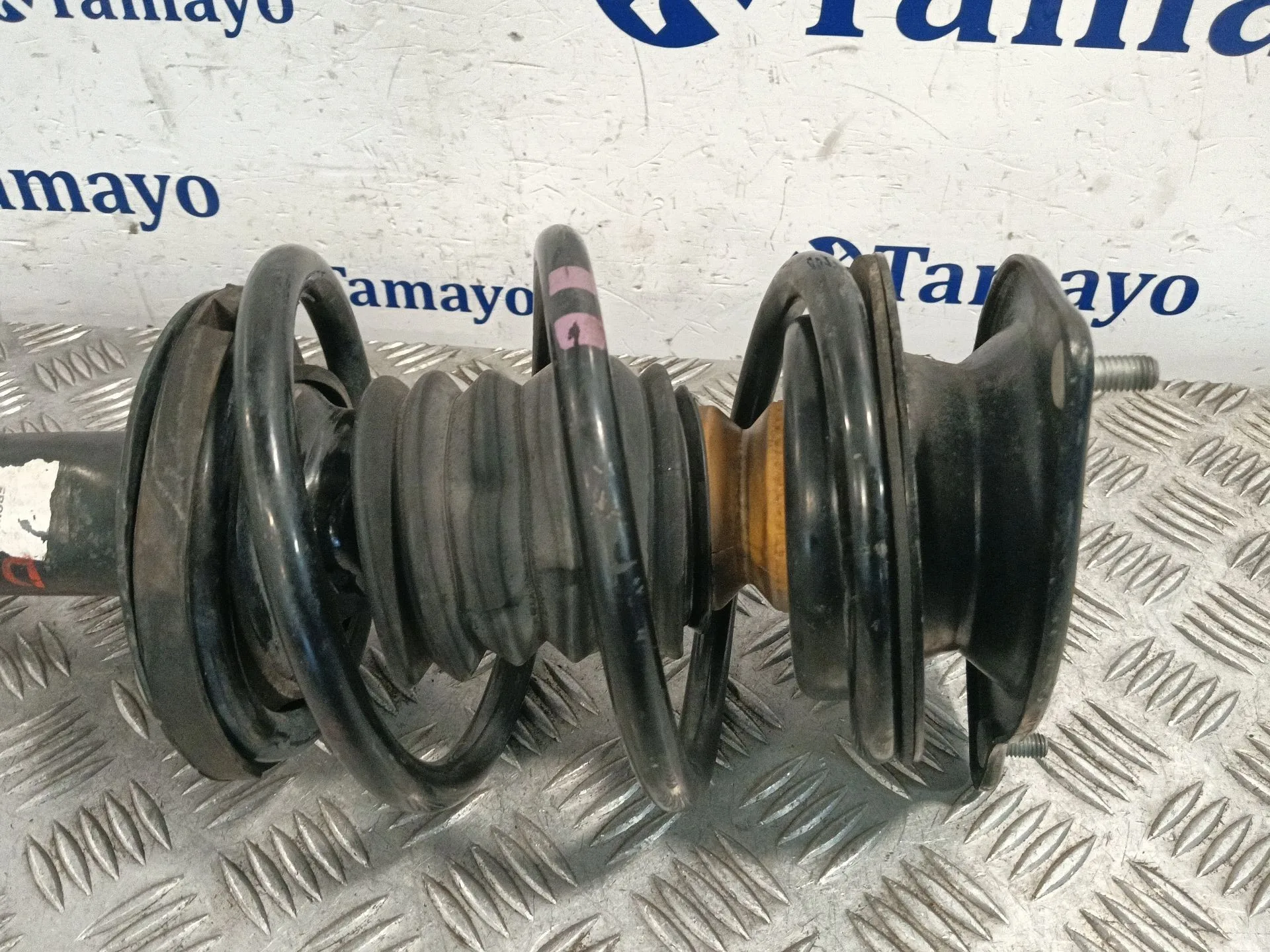 Amortiguador Delantero Izquierdo para Bmw Mini (R50,R53)