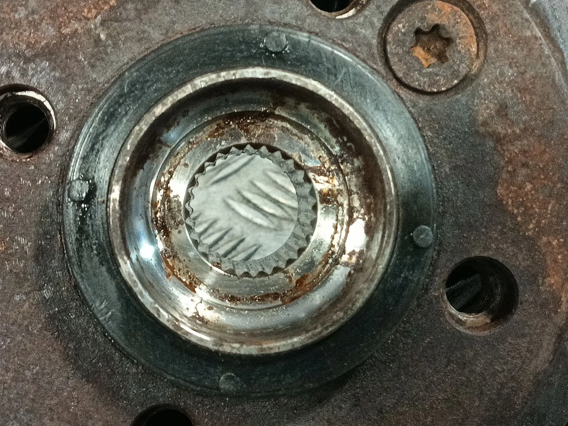 Mangueta Delantera Derecha para Bmw Mini (R50,R53)