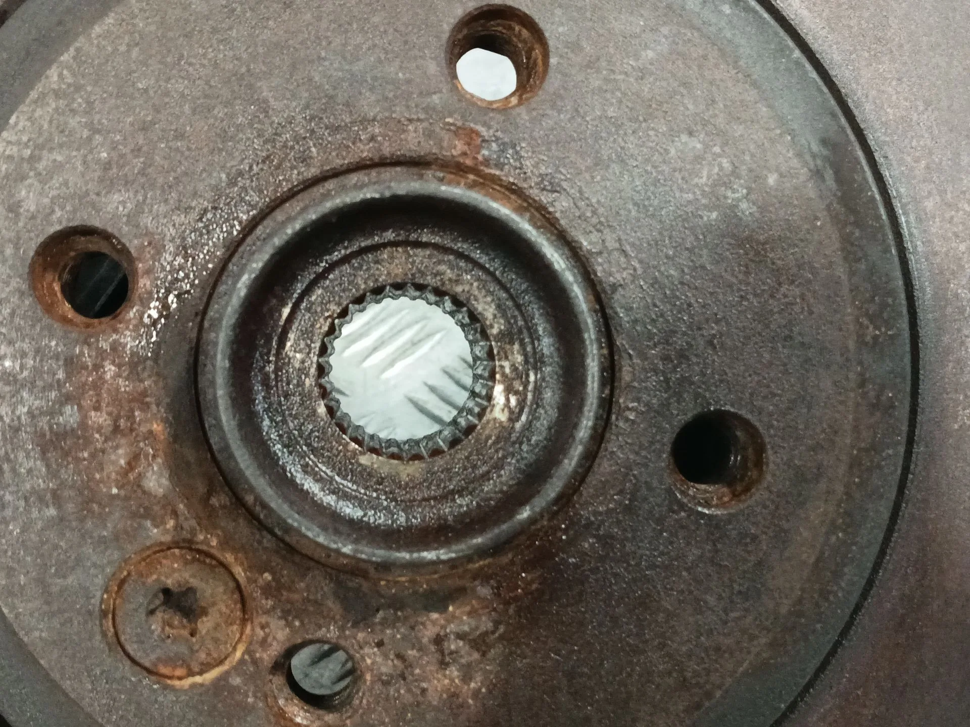 Mangueta Delantera Izquierda para Bmw Mini (R50,R53)