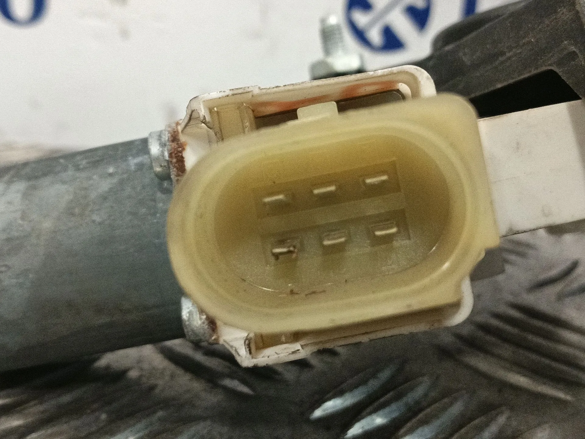 Elevalunas Delantero Derecho para Bmw 1 (F21)