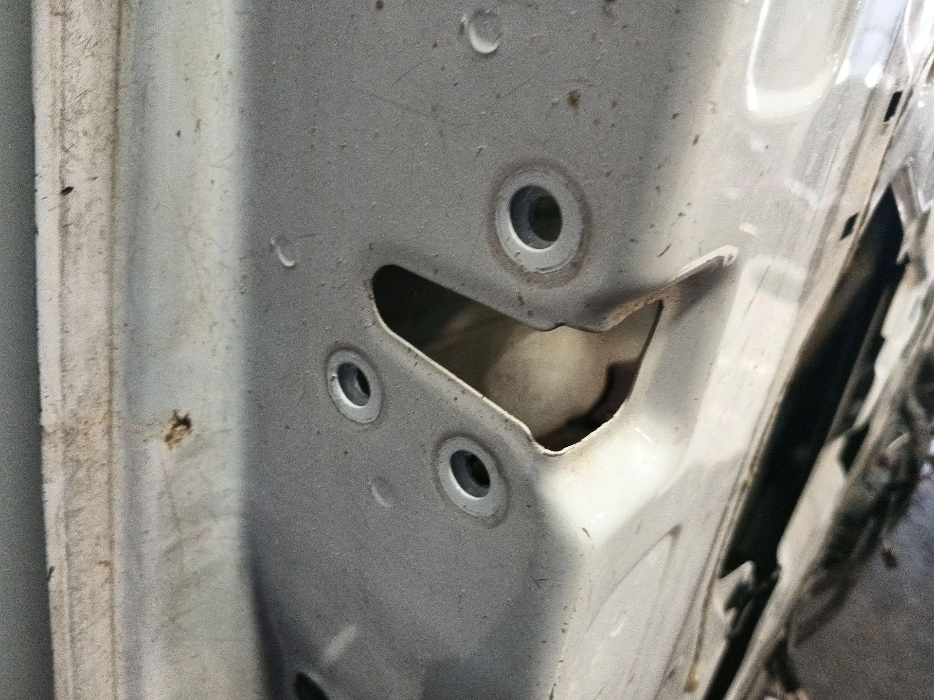 Puerta Delantera Izquierda para Renault Master Iii Furgoneta (Fv)