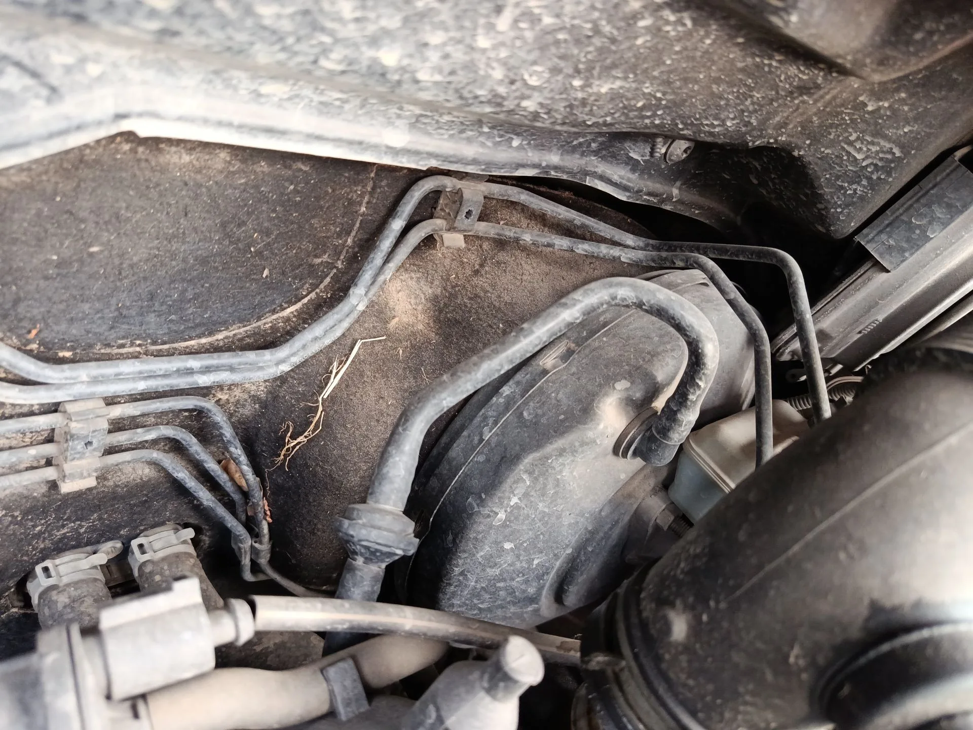 Servofreno para Seat Ibiza Iv (6J5, 6P1)