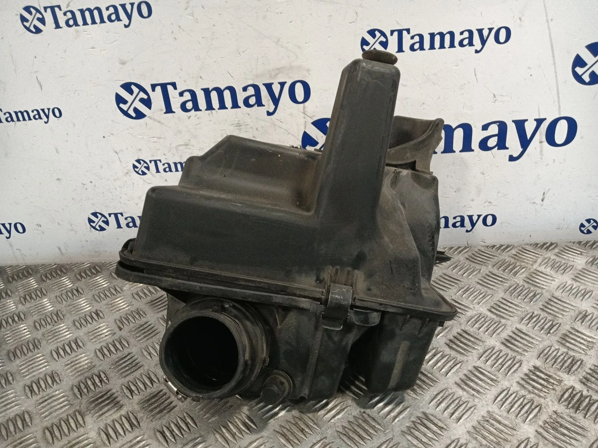 Carcasa Filtro Aire para Chrysler Voyager (Rg)