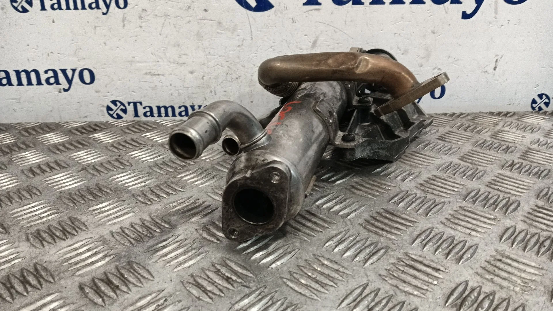 Enfriador Aceite Motor para Audi A4 B7 Avant (8Ed)