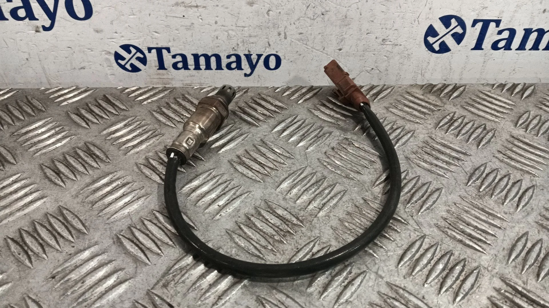 Sonda Lambda para Volkswagen Golf Plus V (5M1, 521)