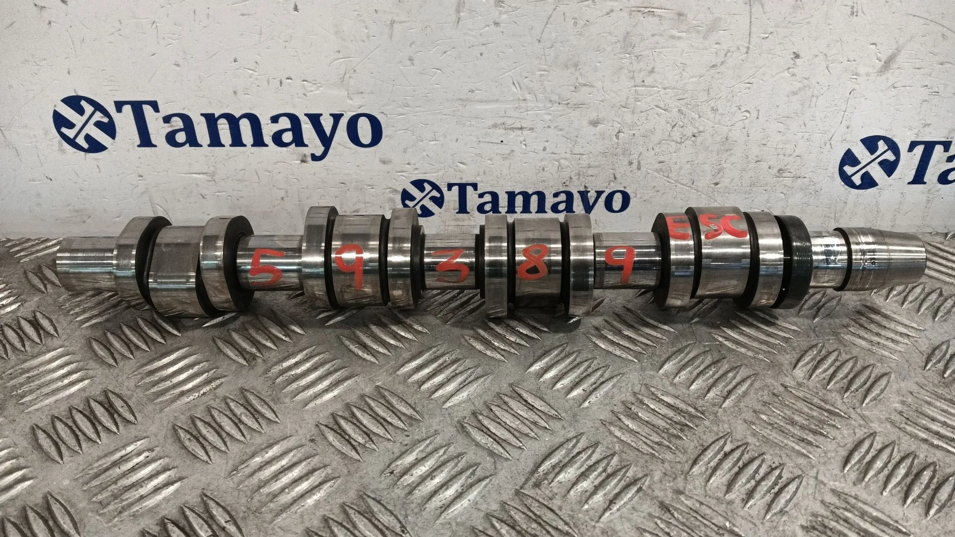 Arbol De Levas para Audi A4 B7 Avant (8Ed)