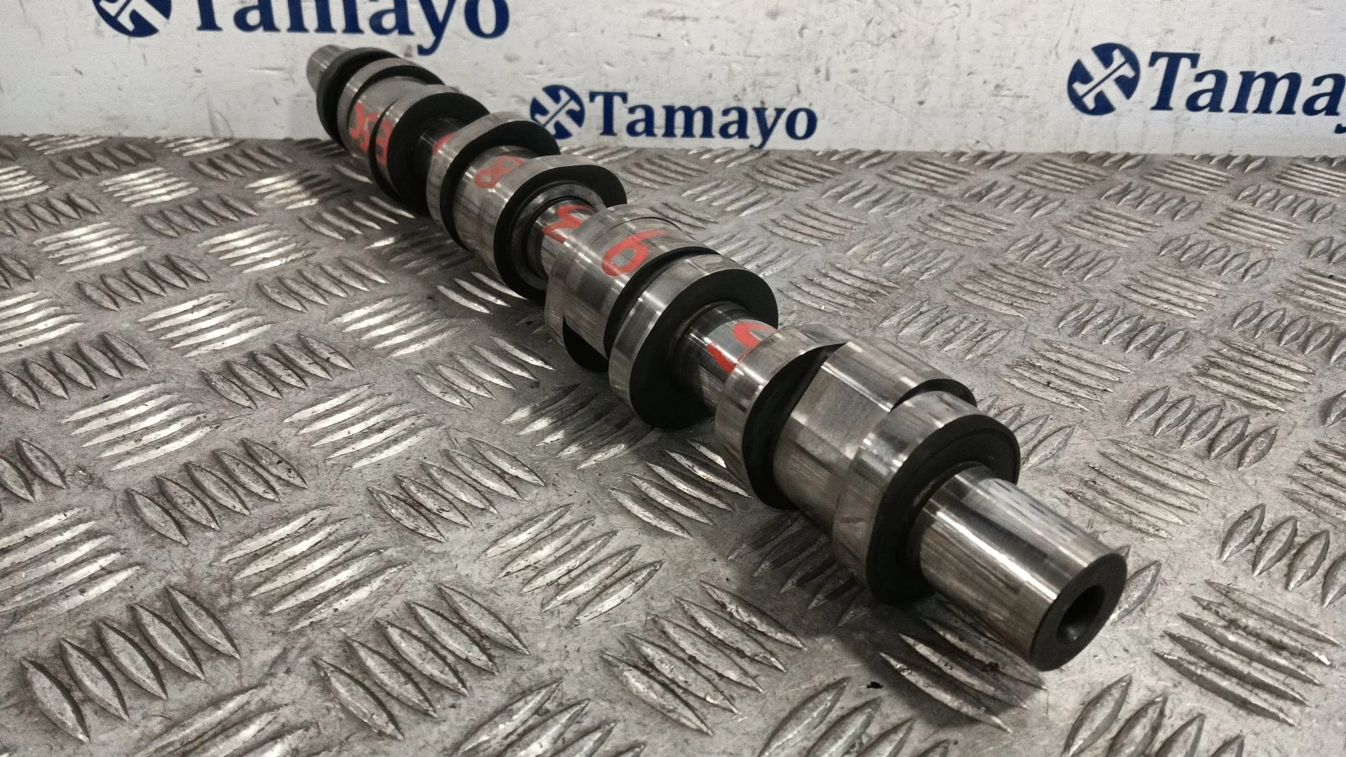 Arbol De Levas para Audi A4 B7 Avant (8Ed)