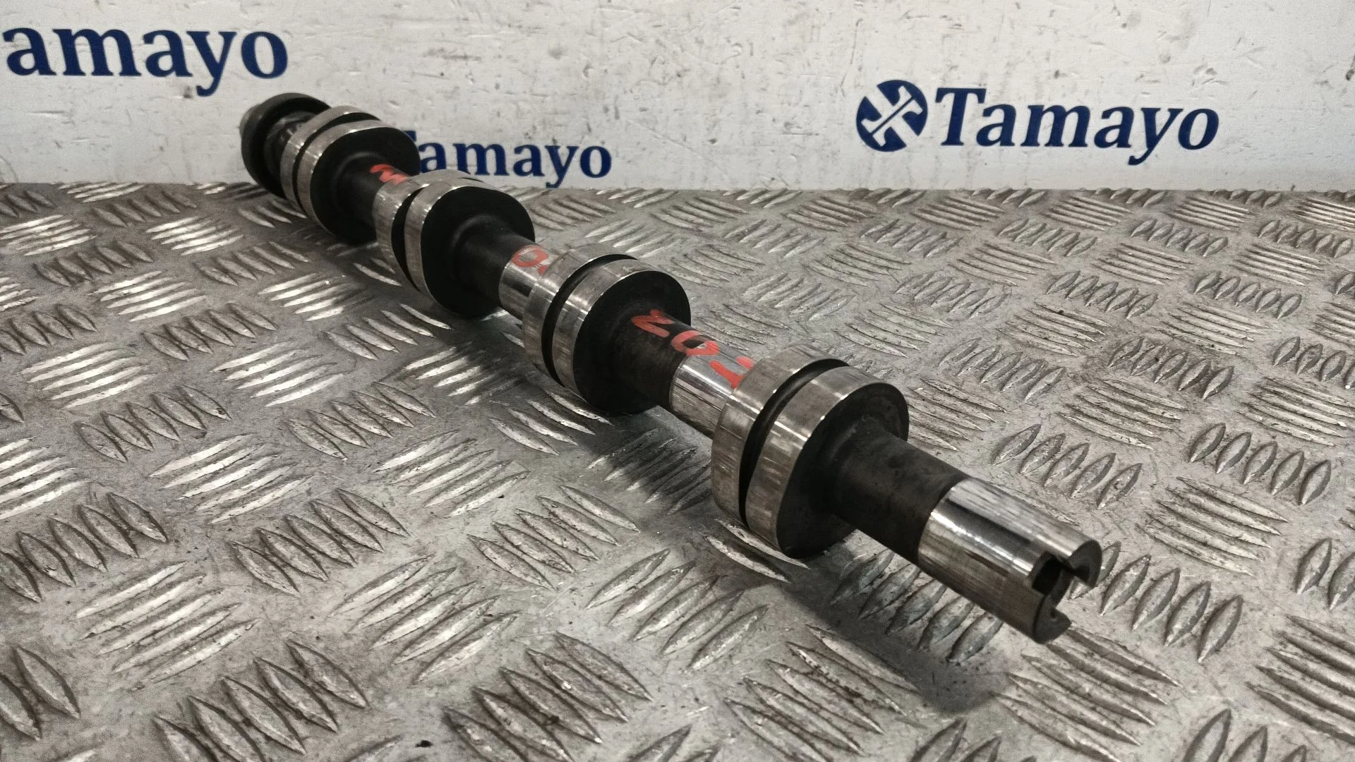 Arbol De Levas para Audi A4 B7 Avant (8Ed)