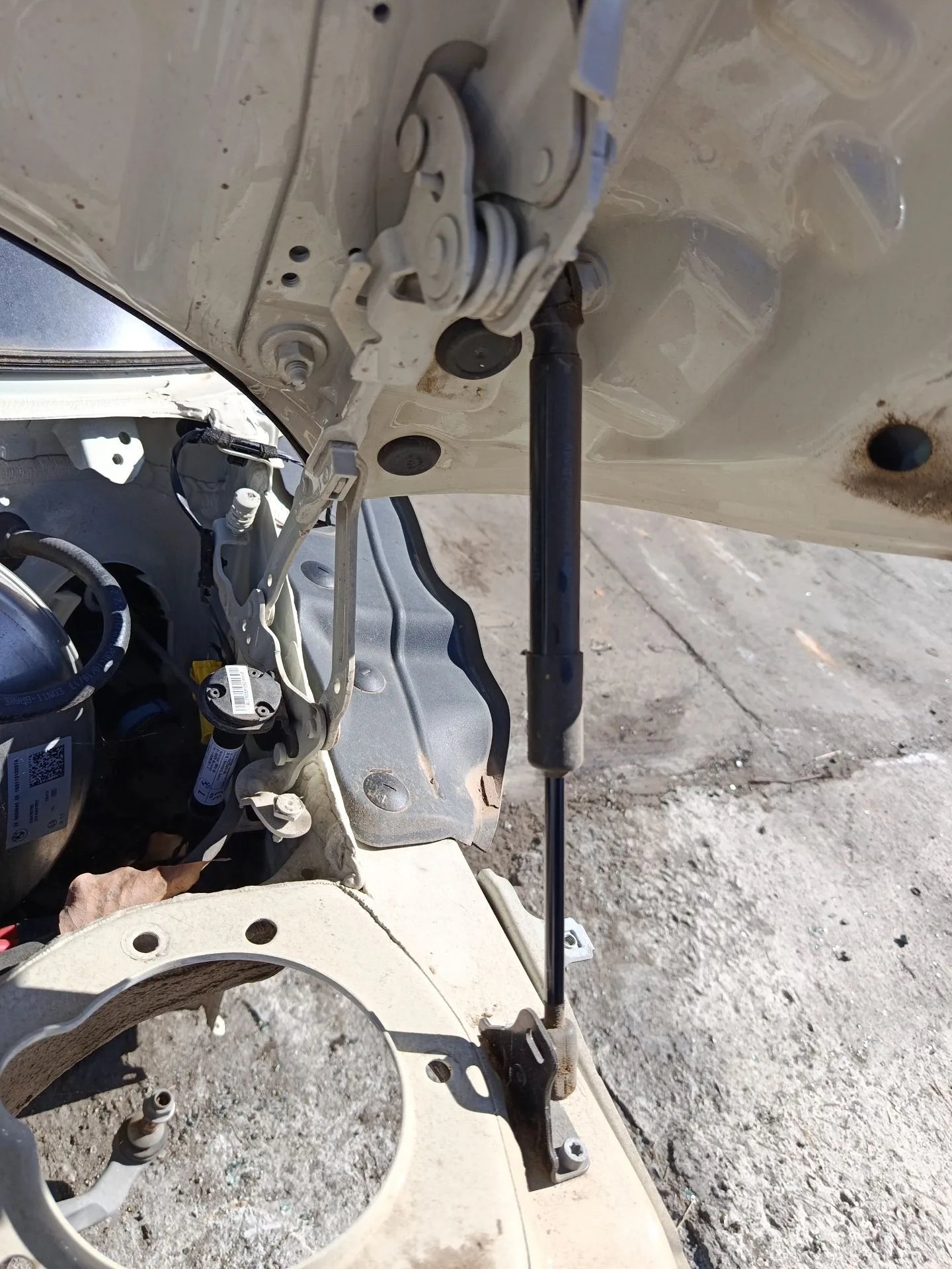 Amortiguadores Capo para Bmw Mini (F56)