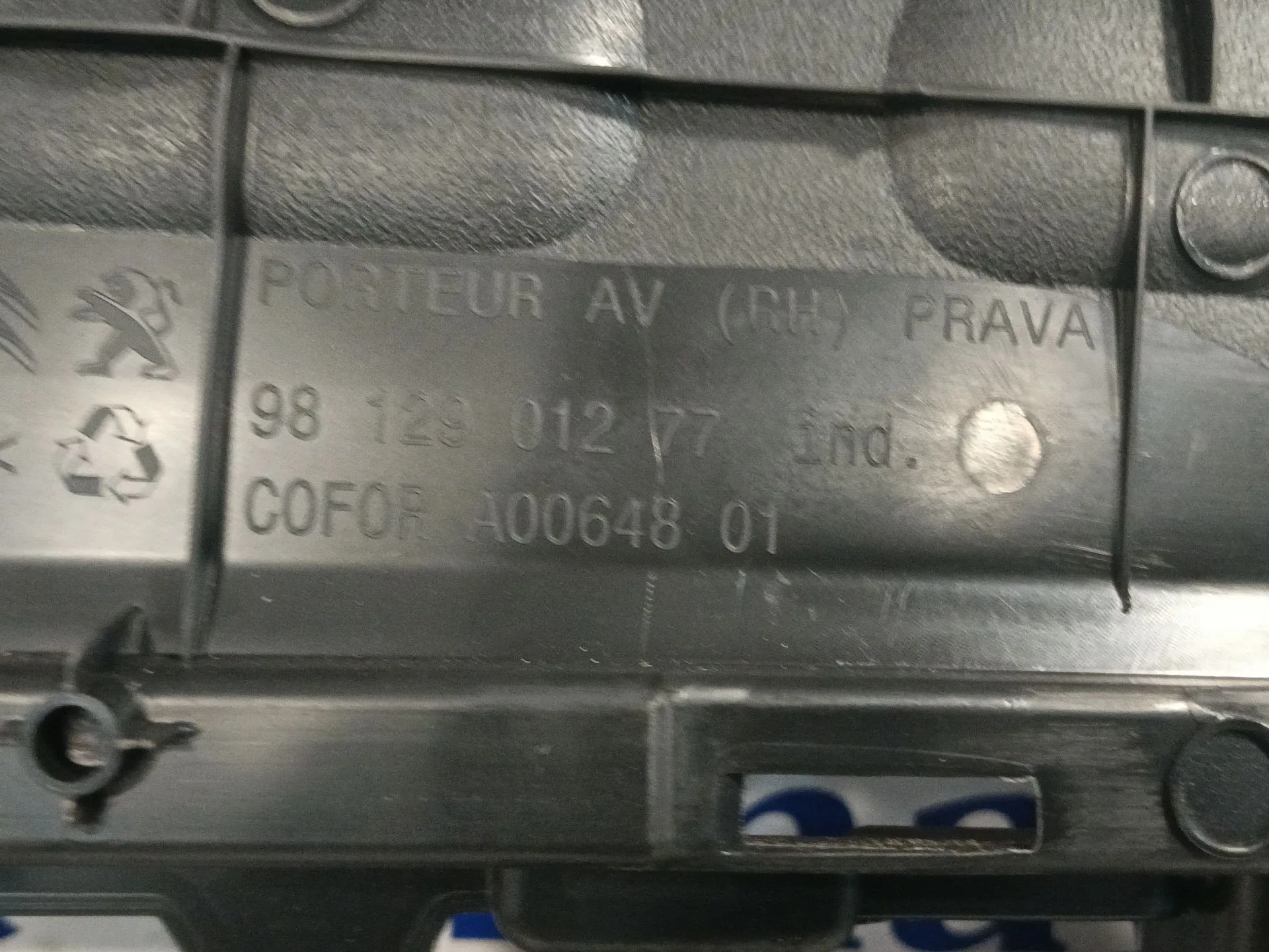 Guarnecido Puerta Delantera Derecha para Citroën C3