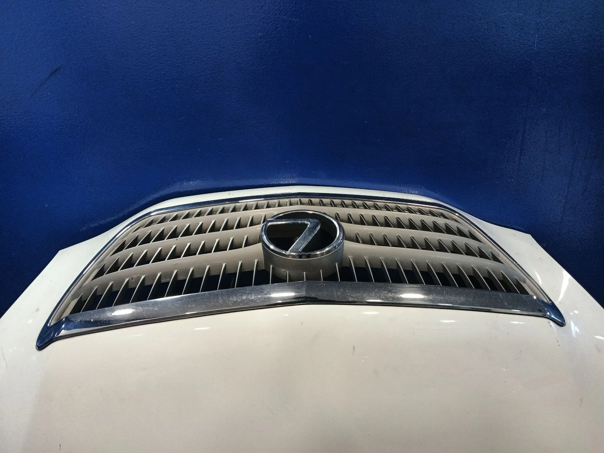 Capot para Lexus Rx