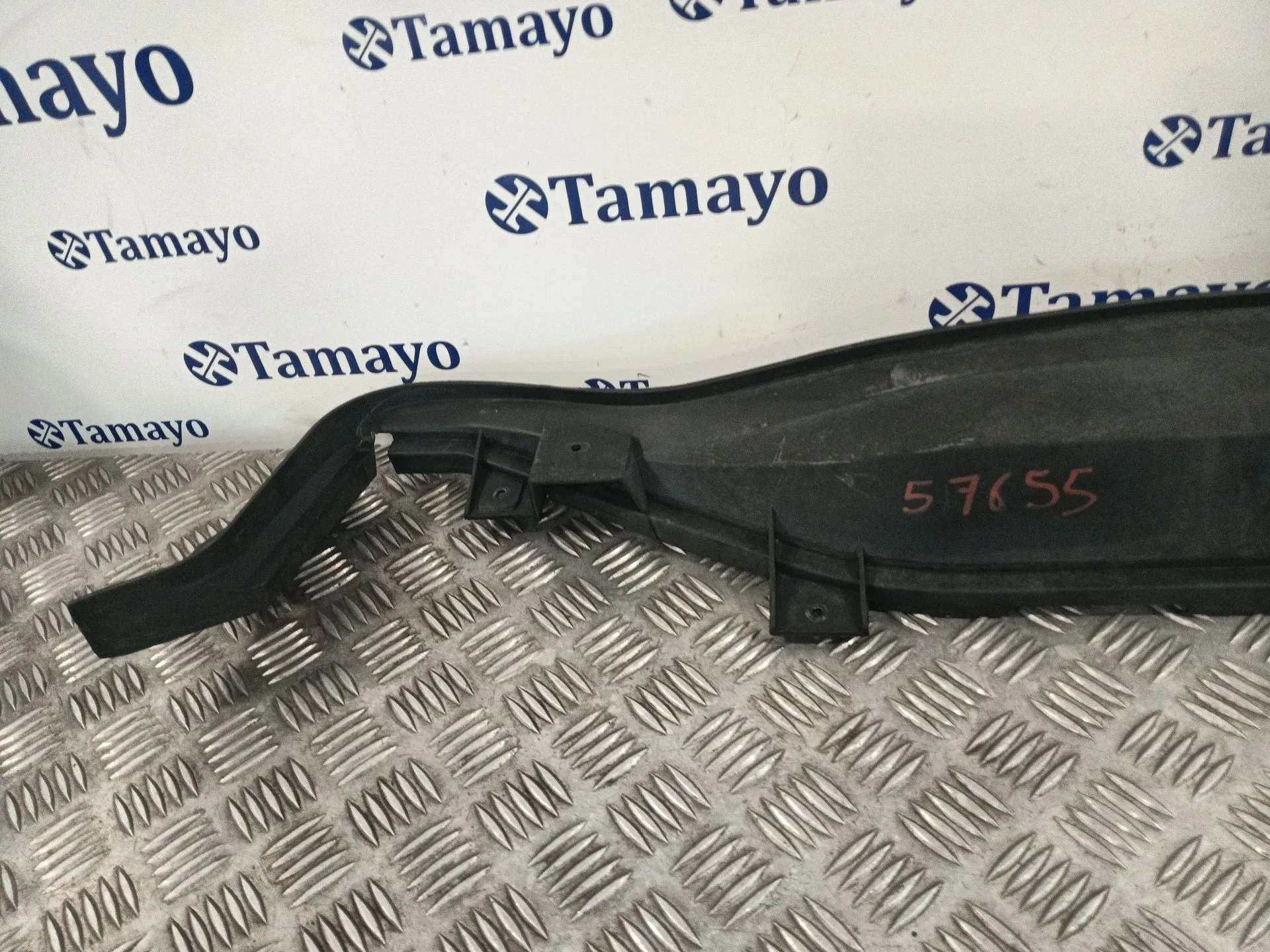 Moldura para Fiat 500 (312)