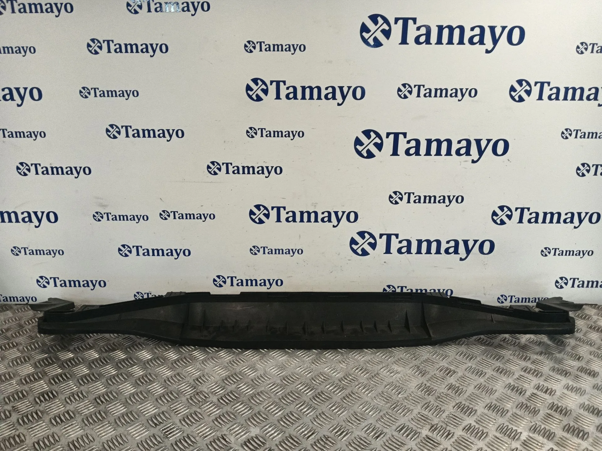 Moldura para Fiat 500 (312)