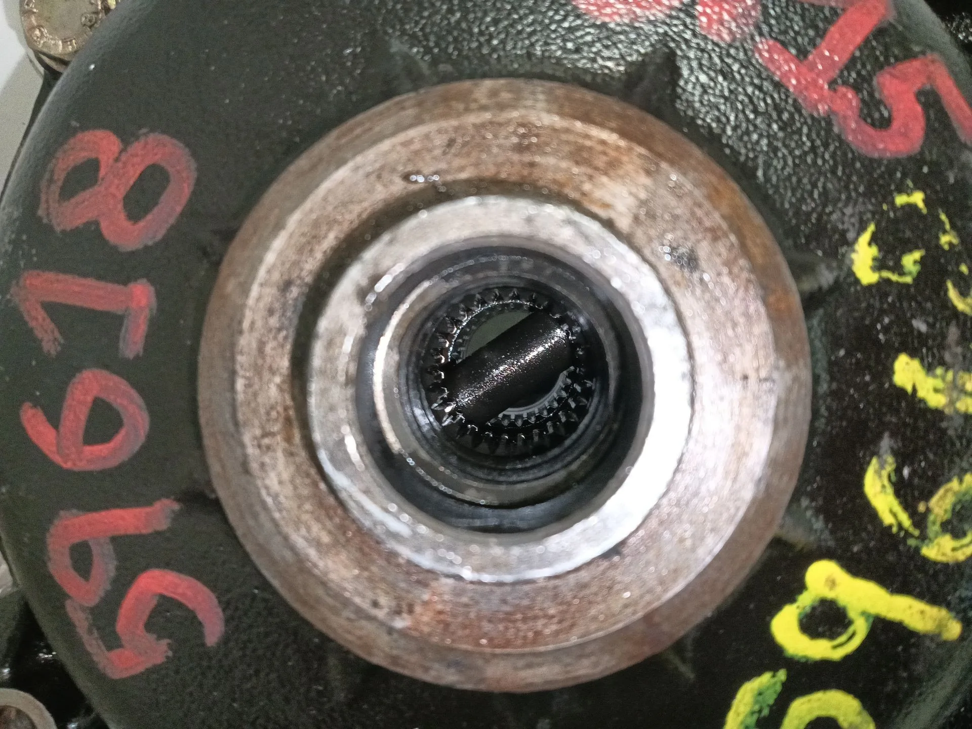 Diferencial Delantero para Bmw 3 (E46)