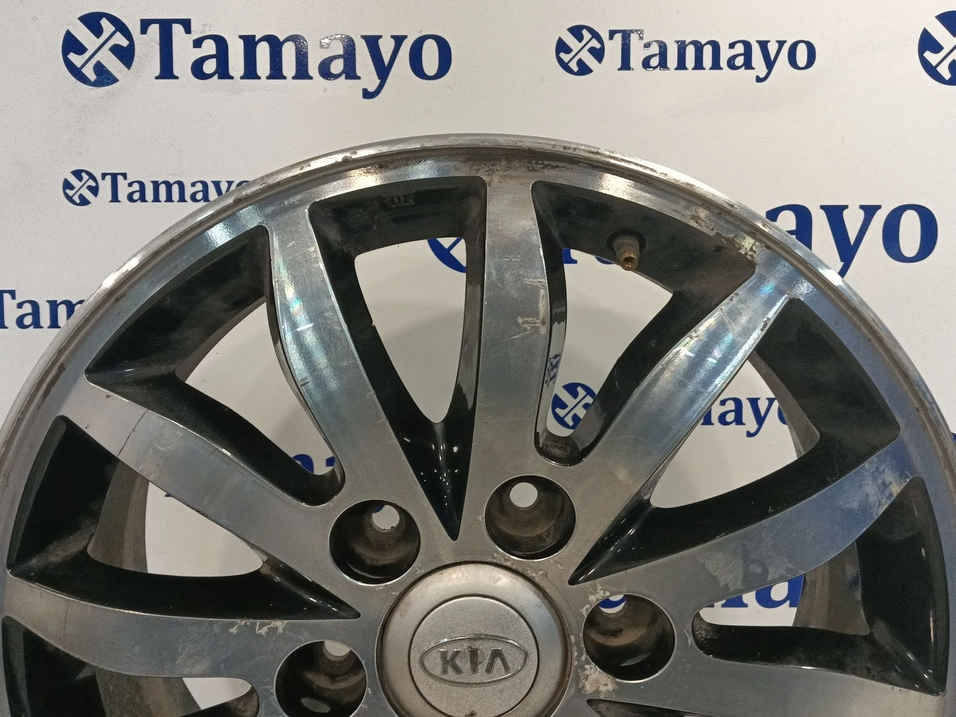 Llanta para Kia Carnival