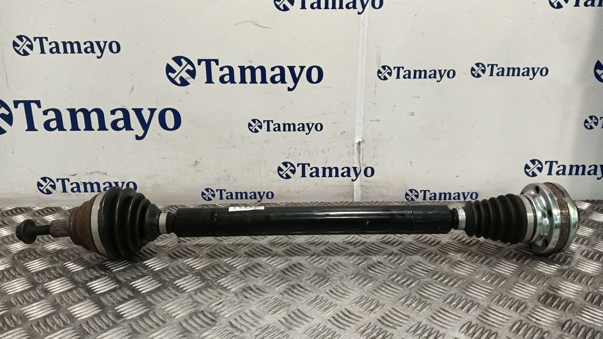 Transmision Delantera Derecha para Volkswagen Golf Plus V (5M1, 521)