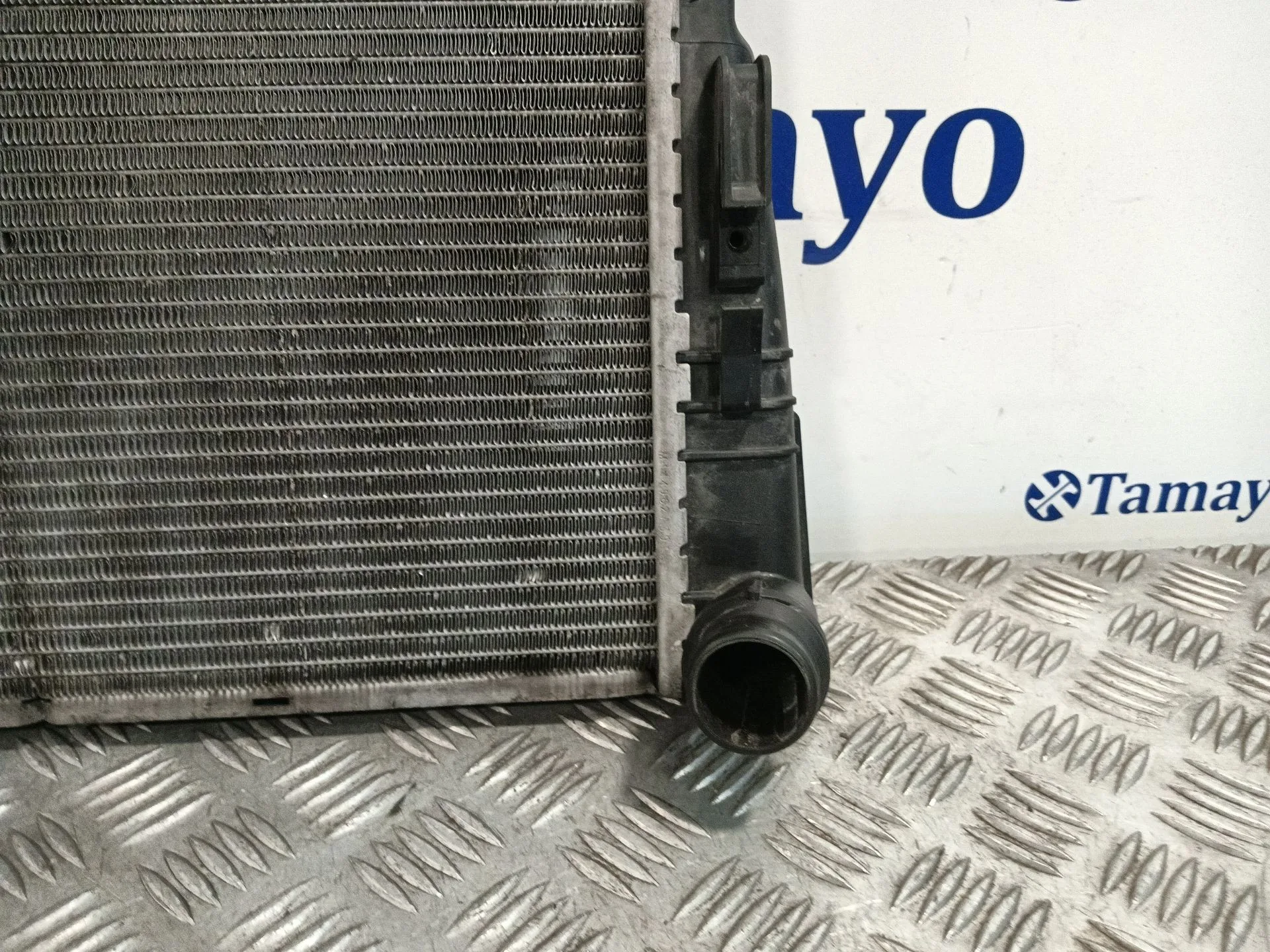 Radiador Agua para Bmw X3 (F25)