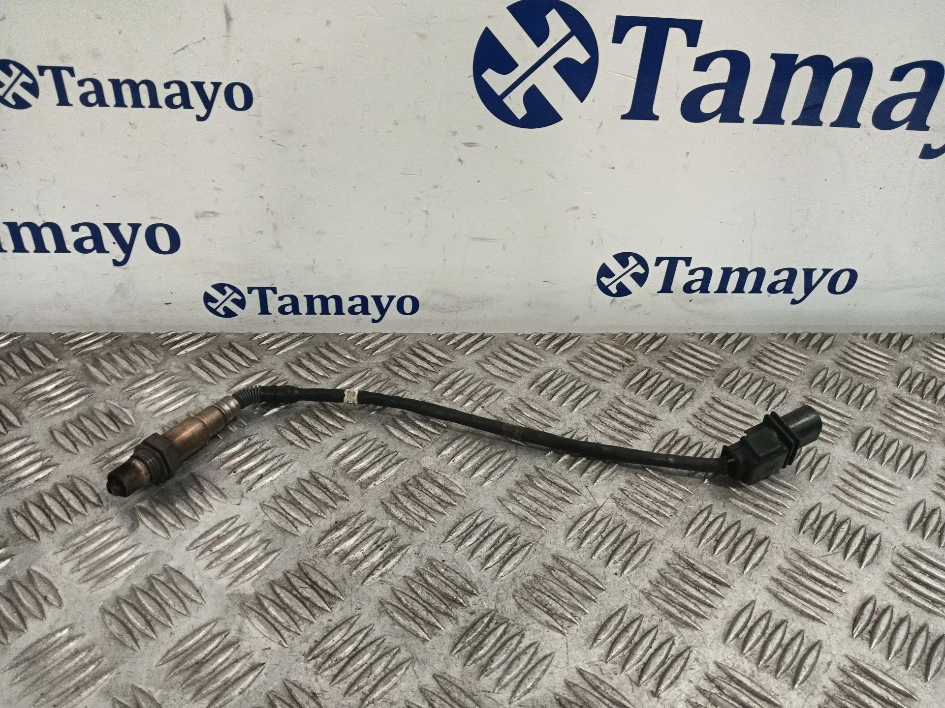 Sonda Lambda para Volkswagen Golf Plus V (5M1, 521)