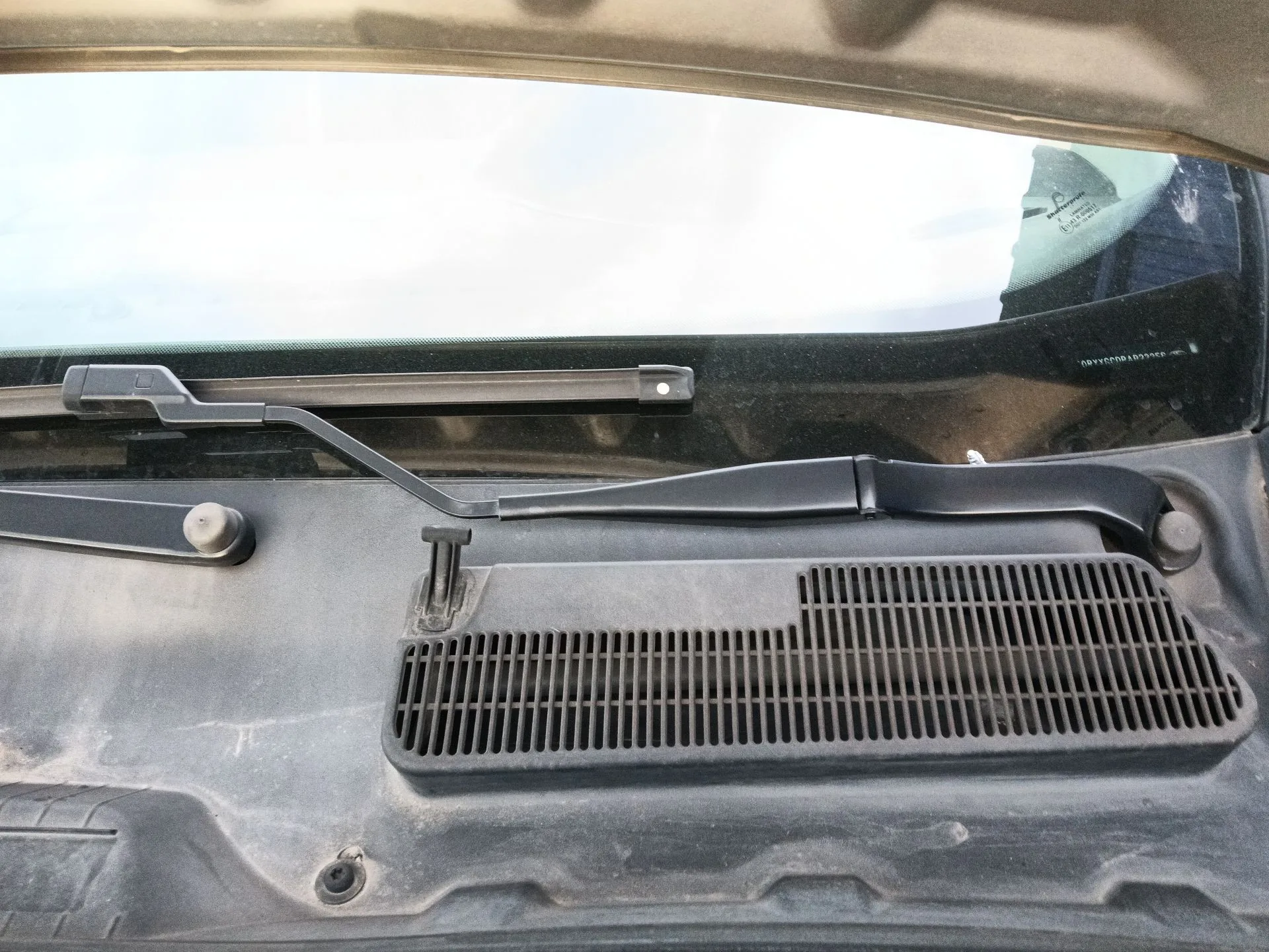 Brazo Limpia Delantero Izquierdo para Ford Kuga I