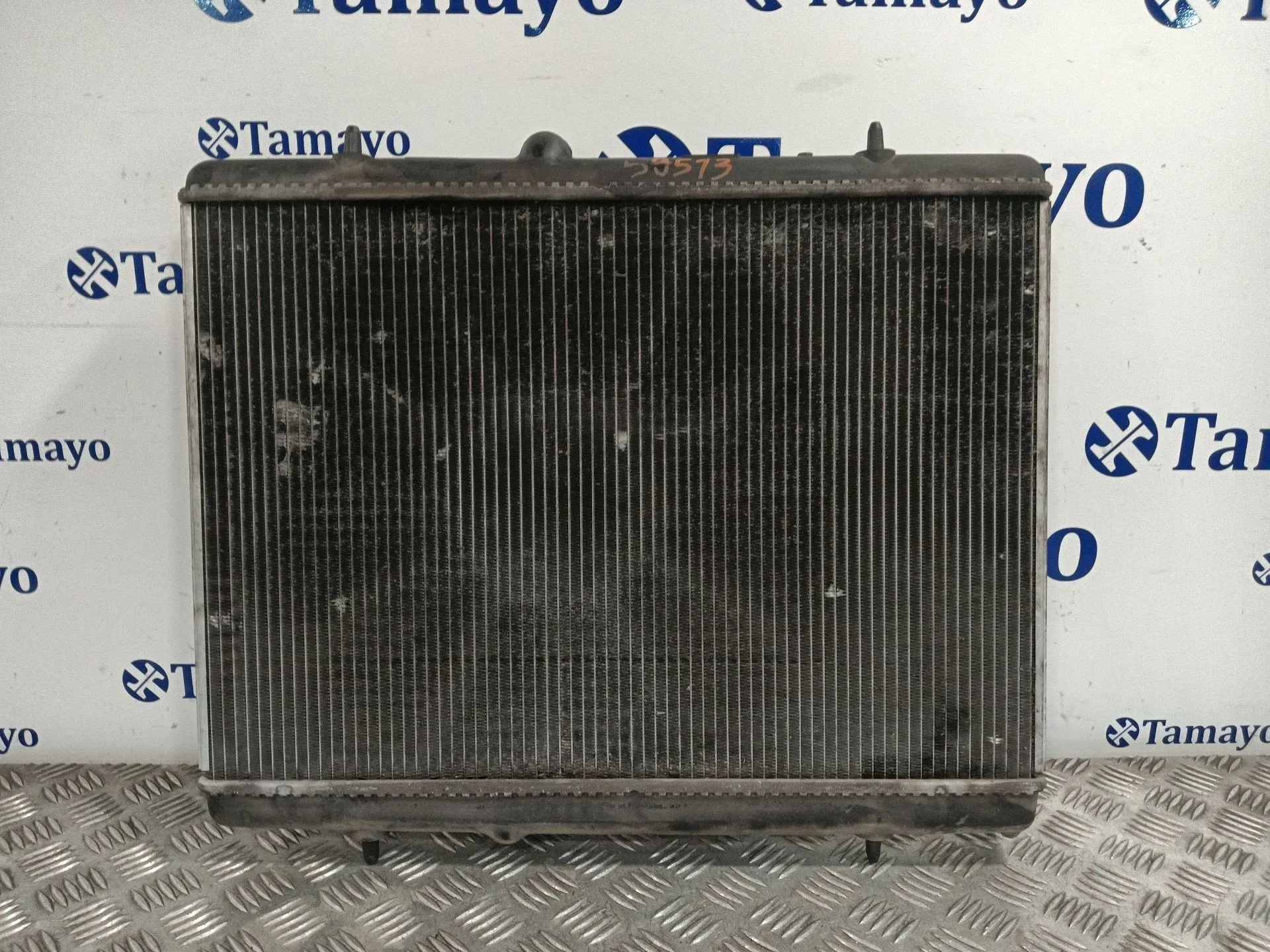 Radiador Agua para Peugeot 308 I (4A_, 4C_)