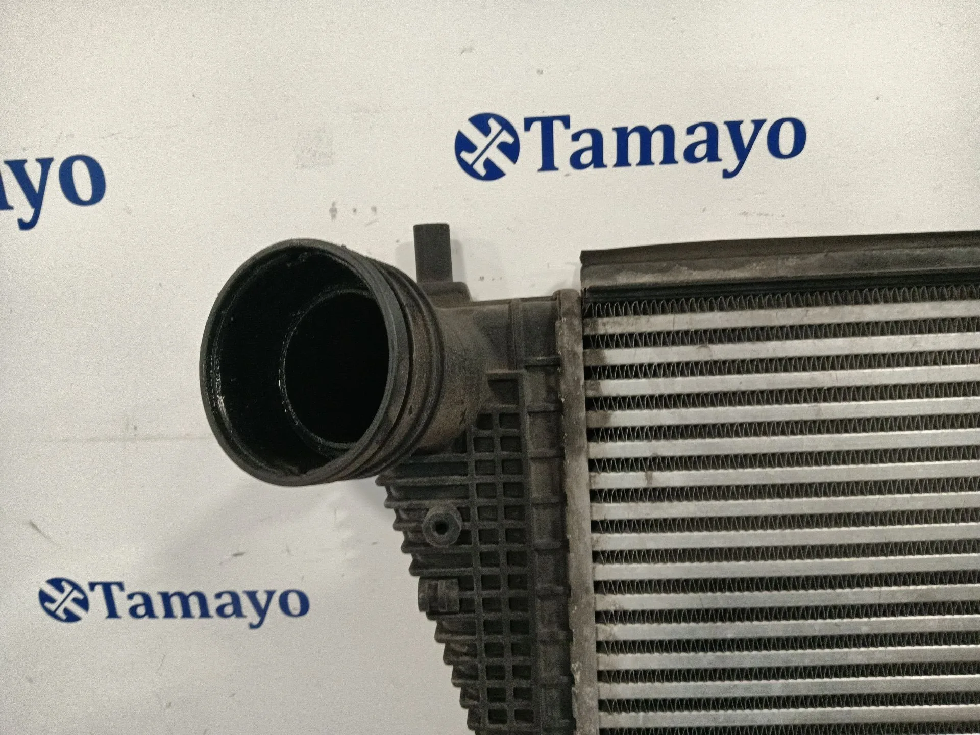 Intercooler para Volkswagen Golf Plus V (5M1, 521)