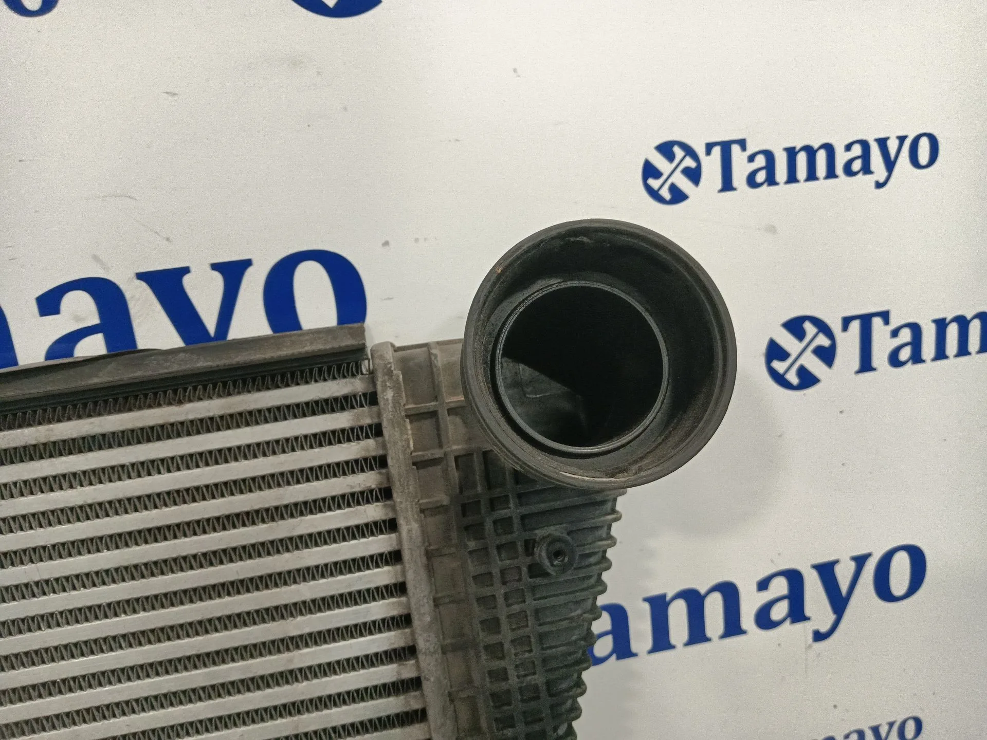 Intercooler para Volkswagen Golf Plus V (5M1, 521)