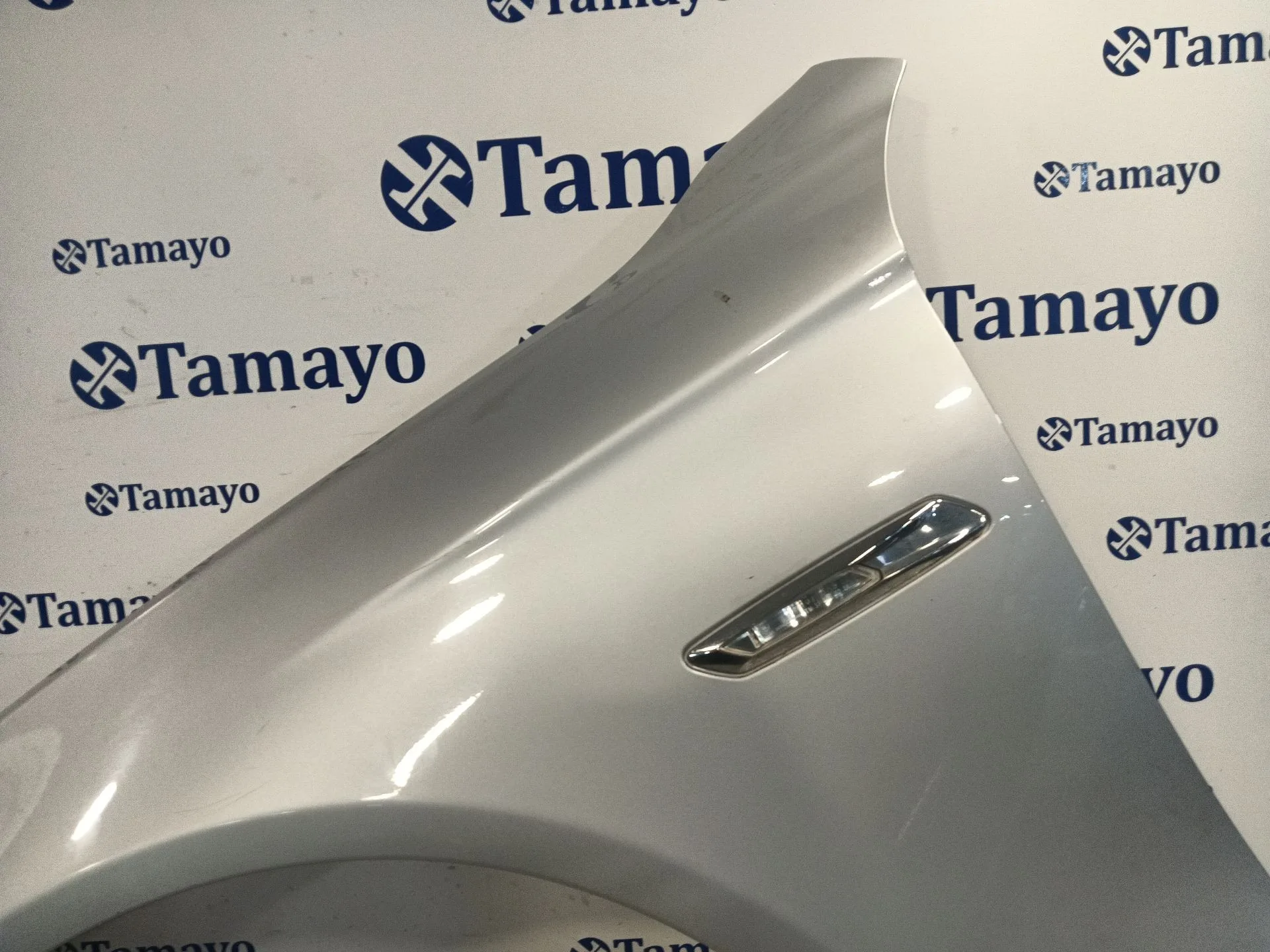 Aleta Delantera Izquierda para Bmw 5 Touring (F11)