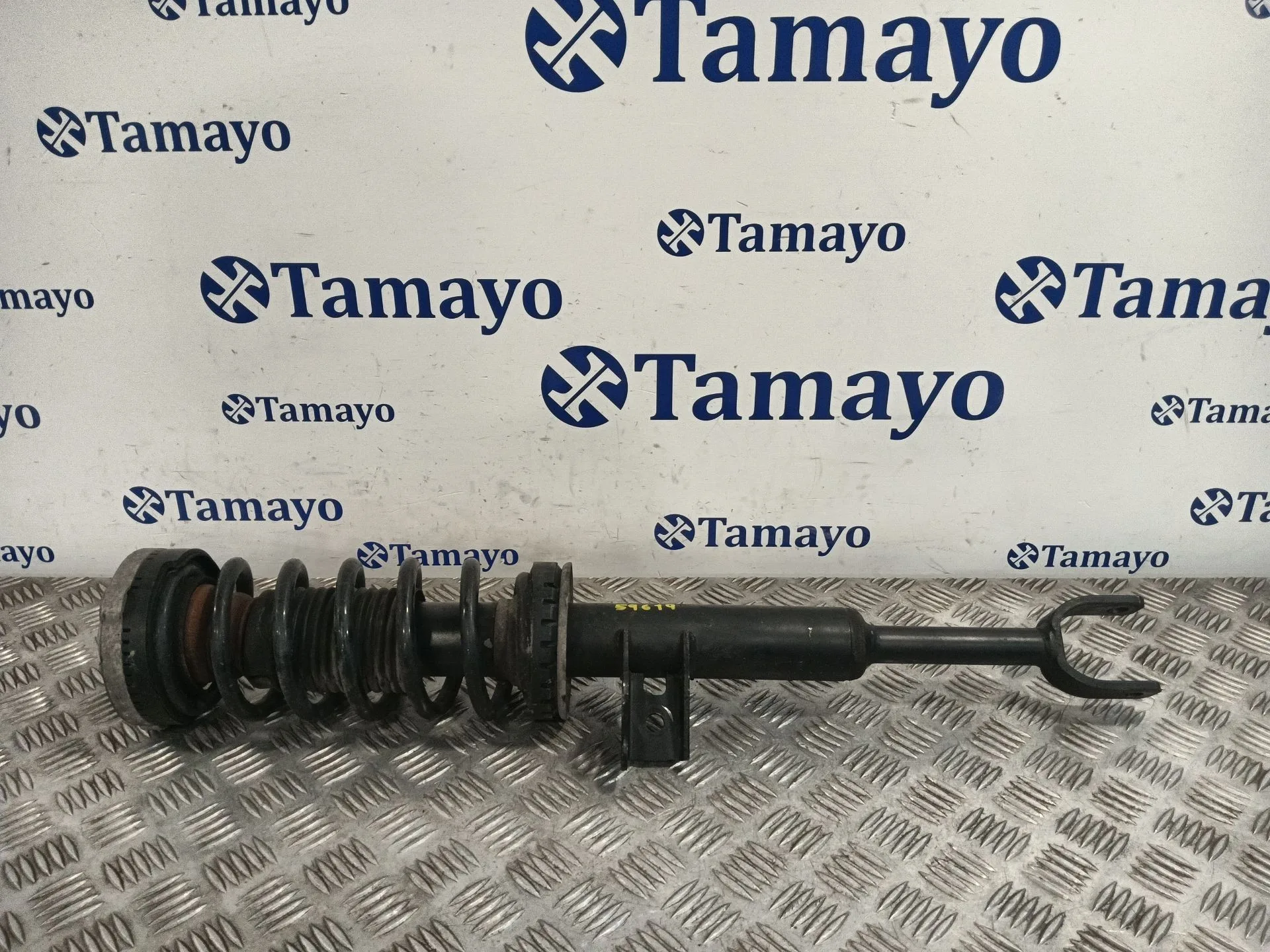 Amortiguador Delantero Izquierdo para Bmw 5 Touring (F11)