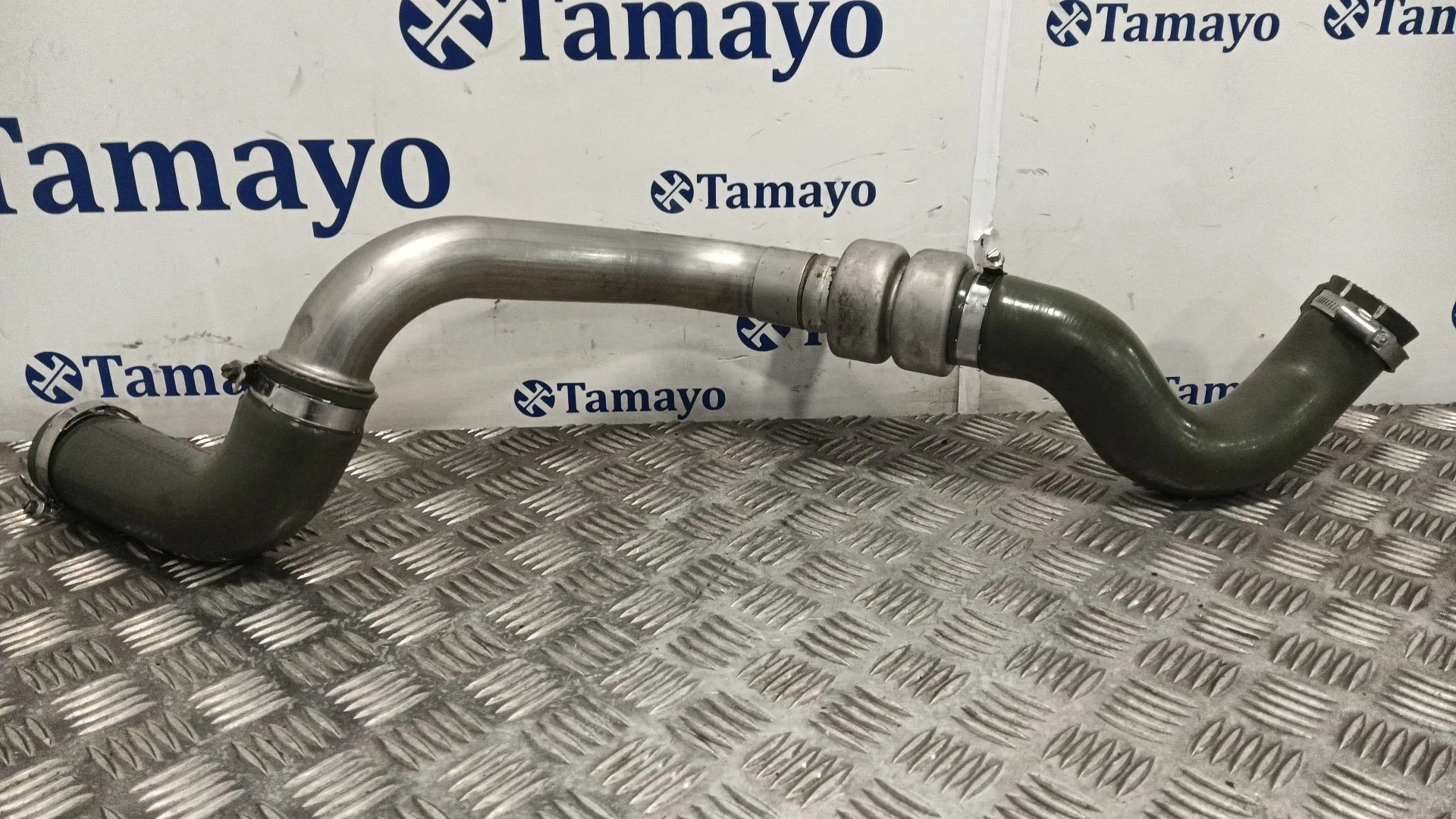 Mangueras Intercooler para Renault Grand Scenic Ii (Jm0/1_)