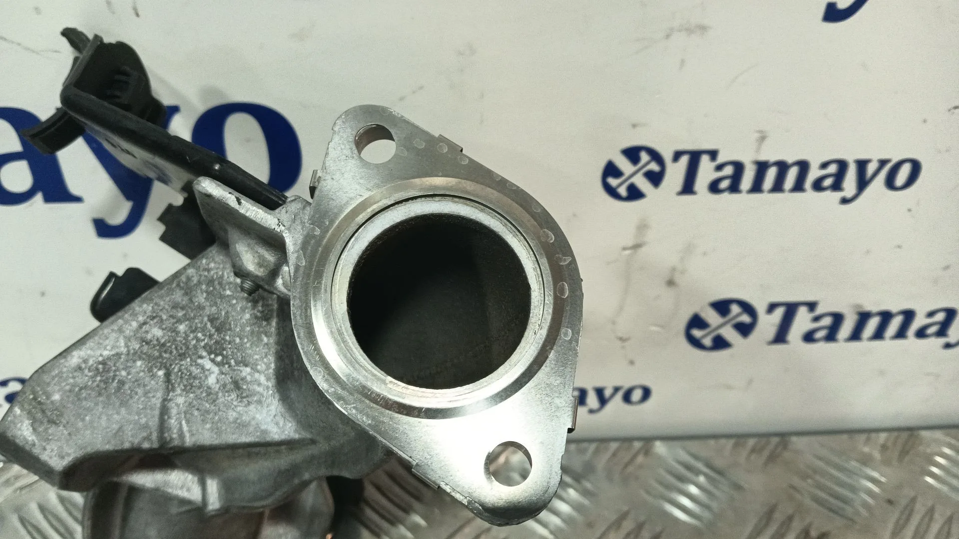 Tubo Egr para Renault Scenic Ii