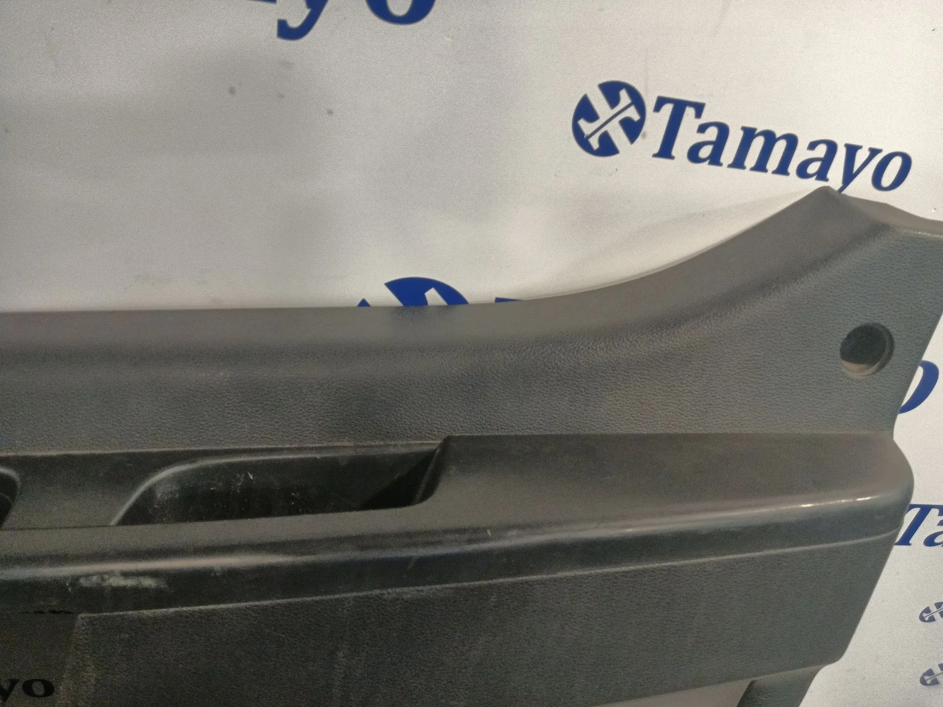 Guarnecido Puerta Delantera Derecha para Hyundai H350 Furgoneta
