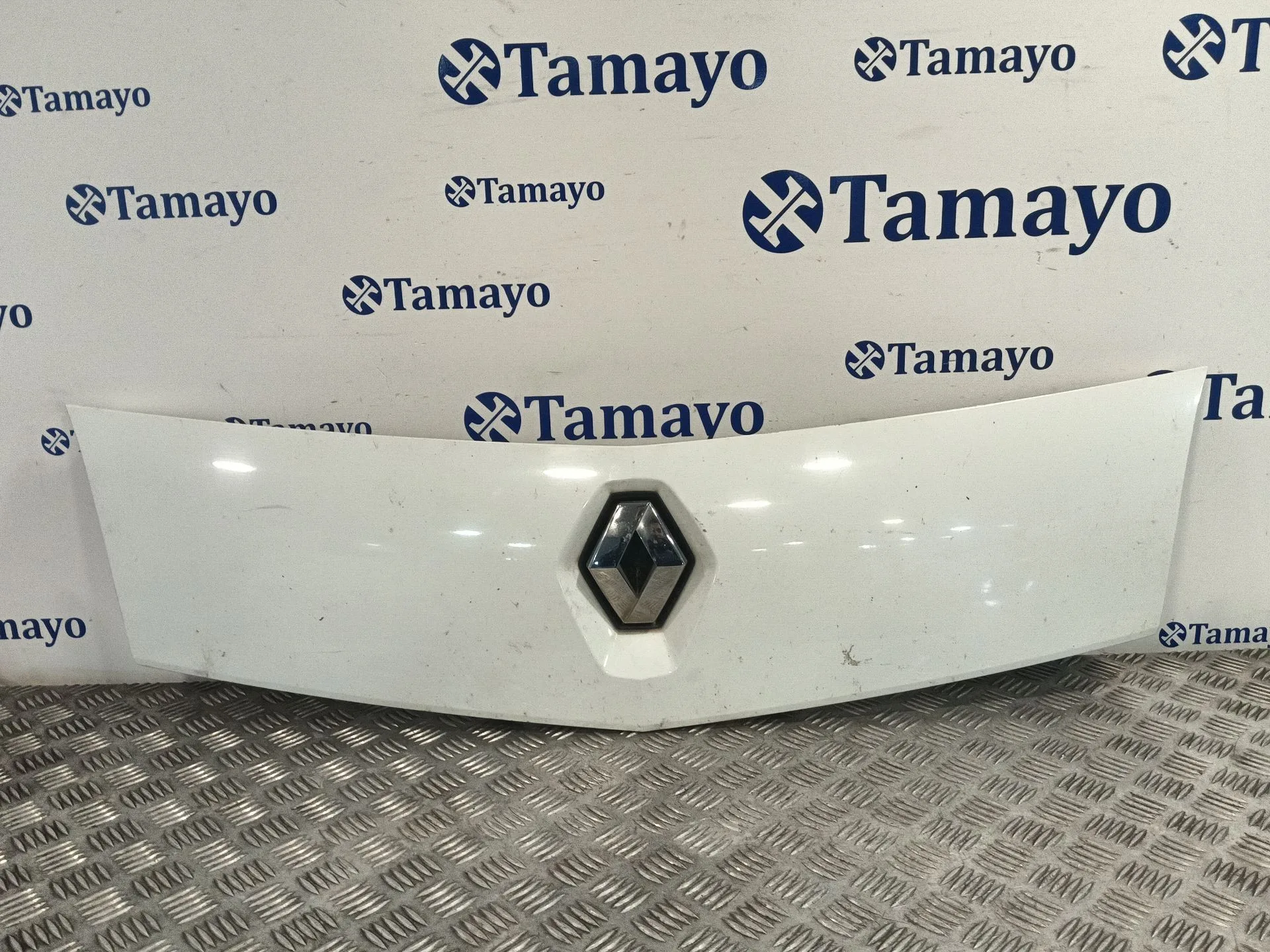Rejilla Delantera para Renault Kangoo Express (Fw0/1_)